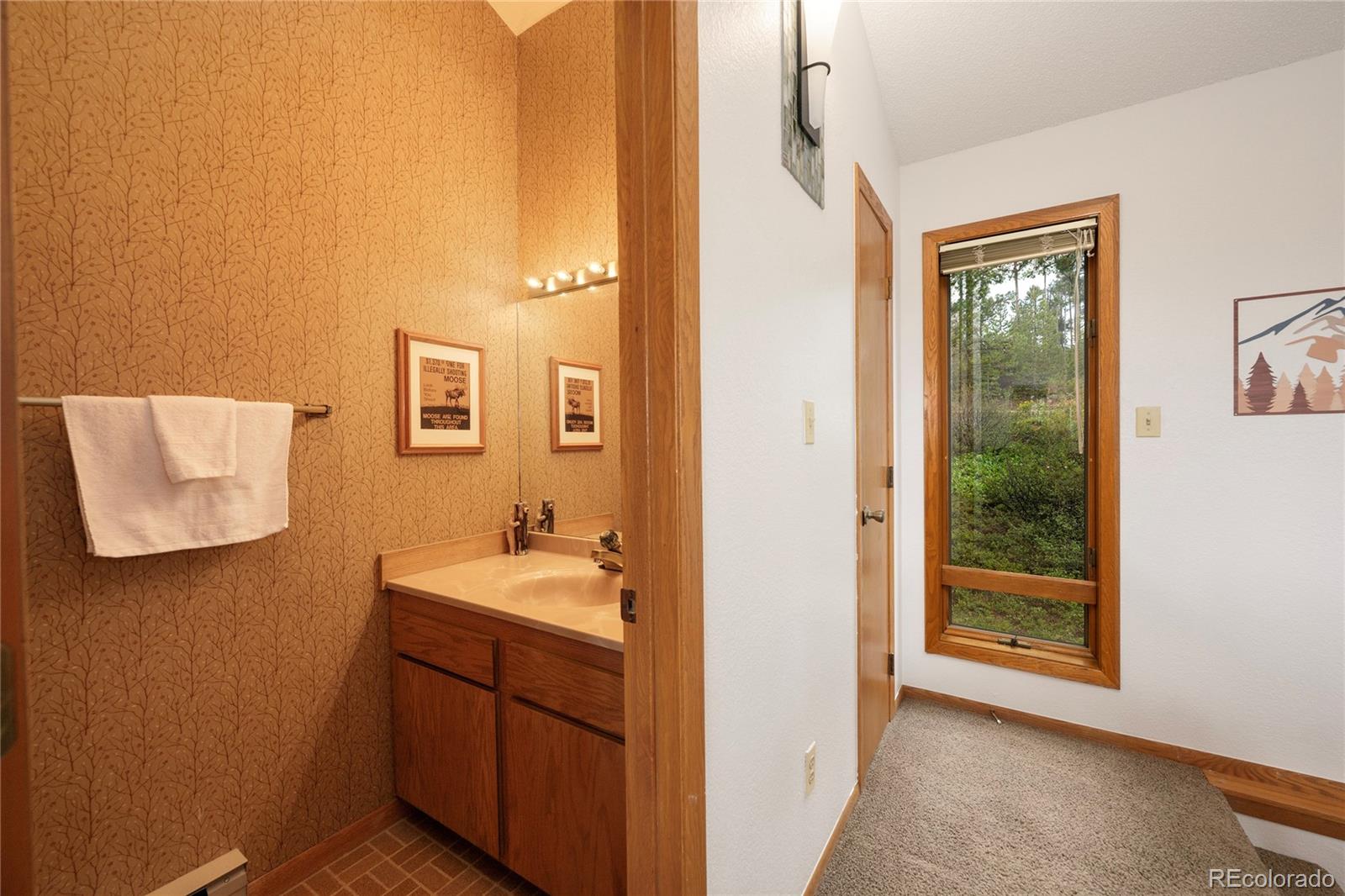 MLS Image #24 for 905  gcr 834 a-6 ,fraser, Colorado