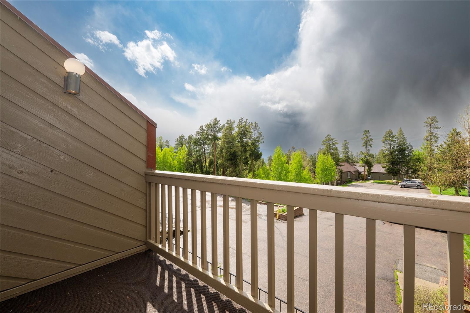 MLS Image #29 for 905  gcr 834 a-6 ,fraser, Colorado