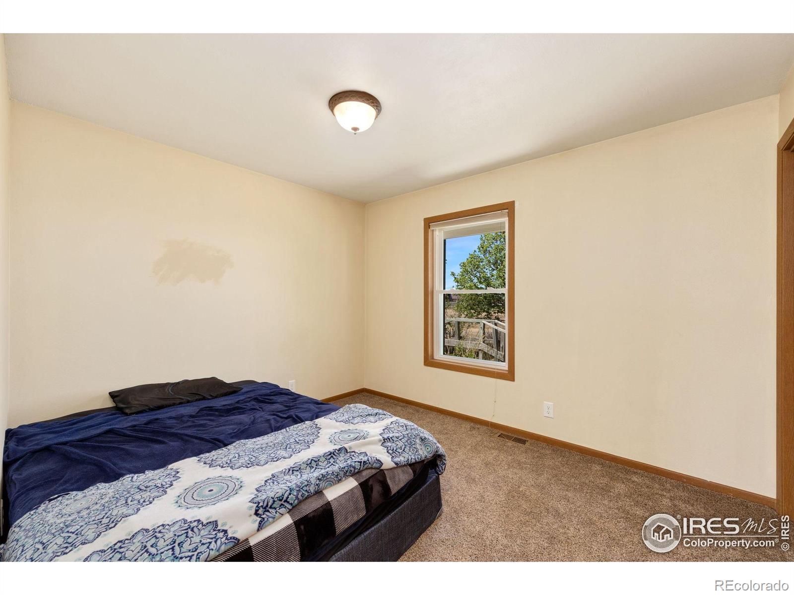 MLS Image #15 for 2726  vesta lane,wellington, Colorado