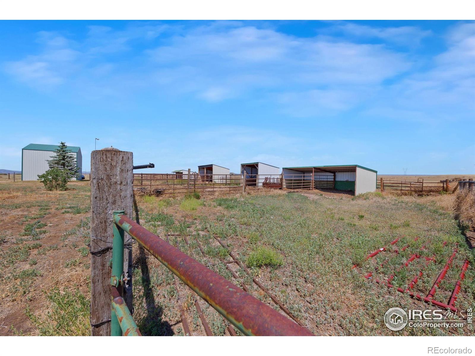 MLS Image #32 for 2726  vesta lane,wellington, Colorado