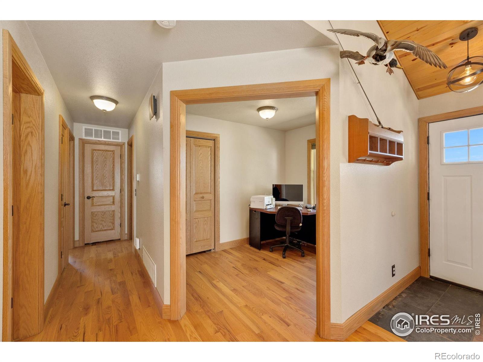 MLS Image #9 for 2726  vesta lane,wellington, Colorado