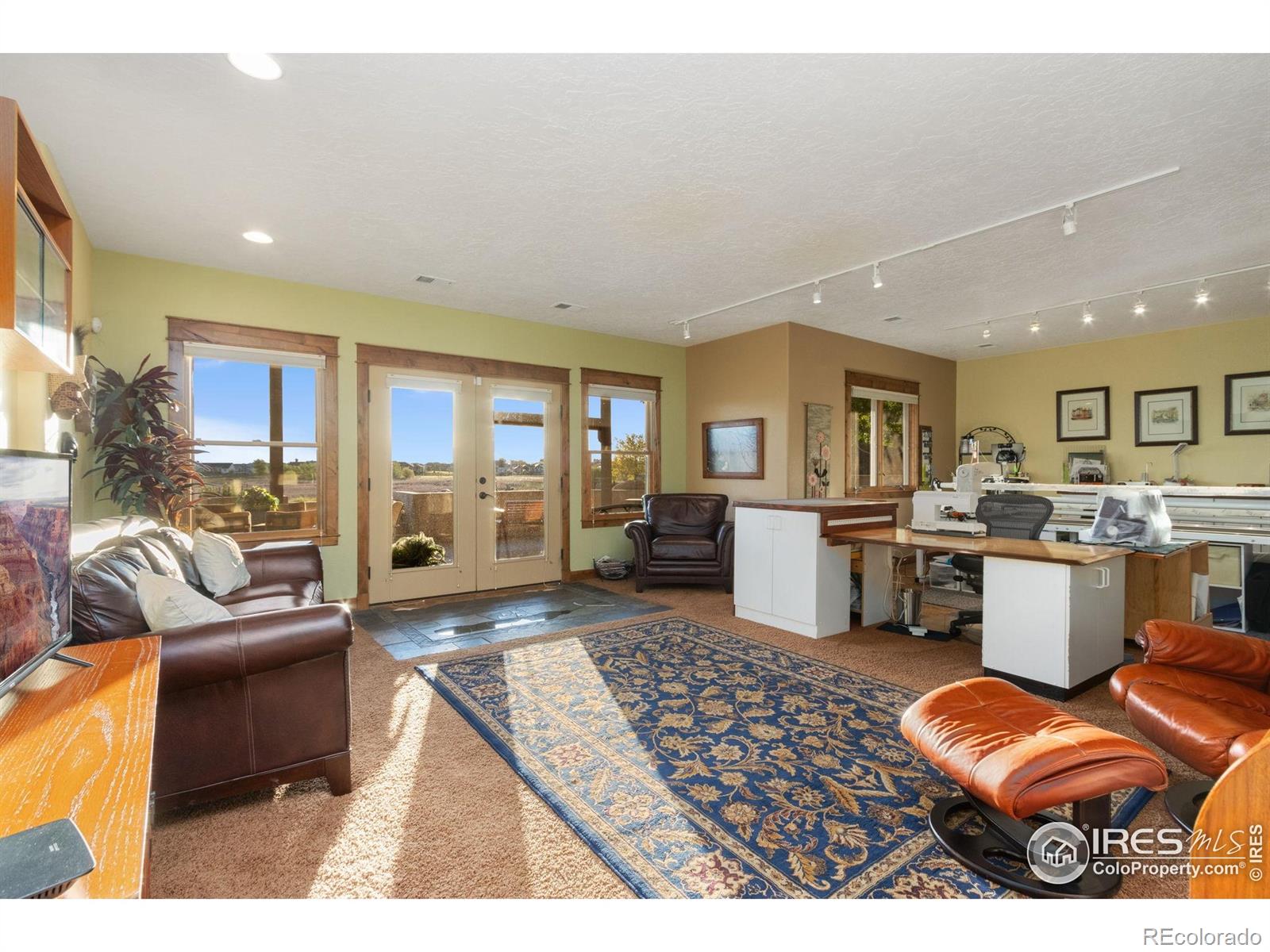 MLS Image #27 for 1213  baldridge drive,severance, Colorado