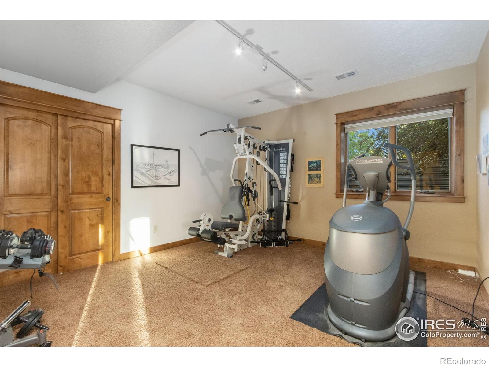 MLS Image #29 for 1213  baldridge drive,severance, Colorado