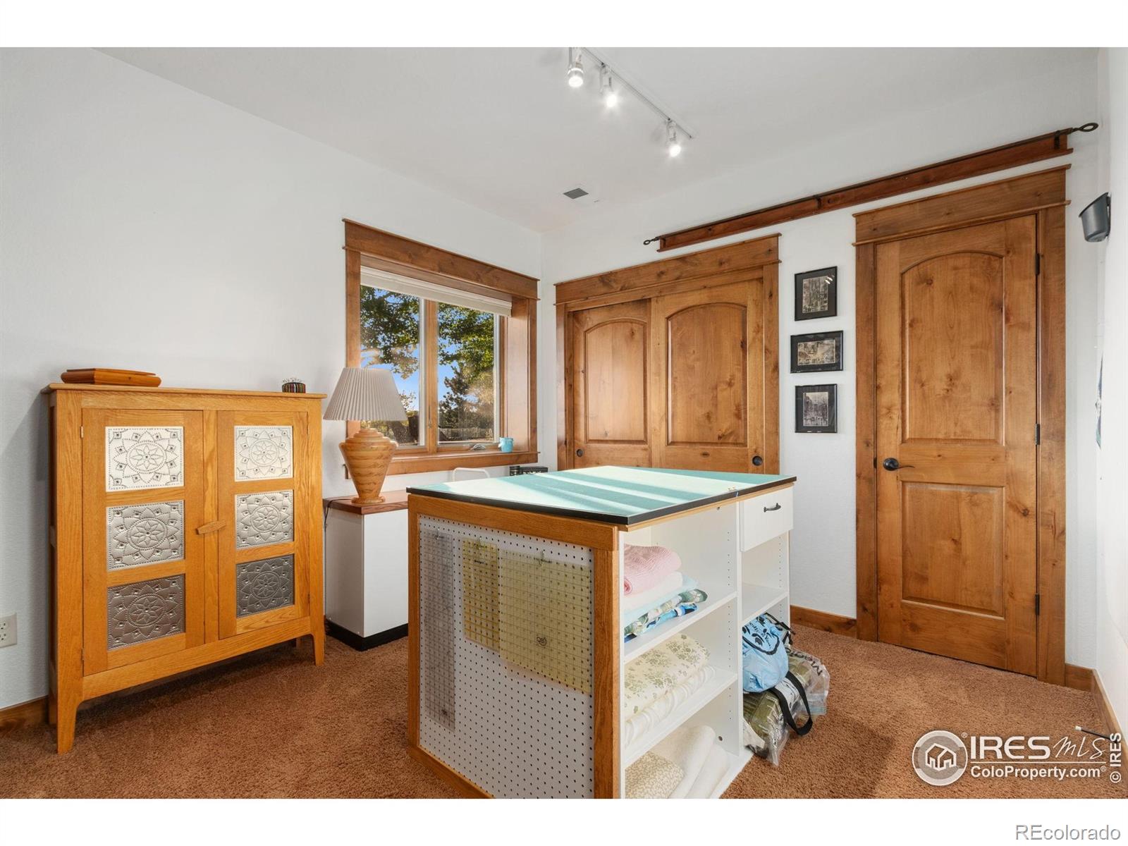 MLS Image #32 for 1213  baldridge drive,severance, Colorado