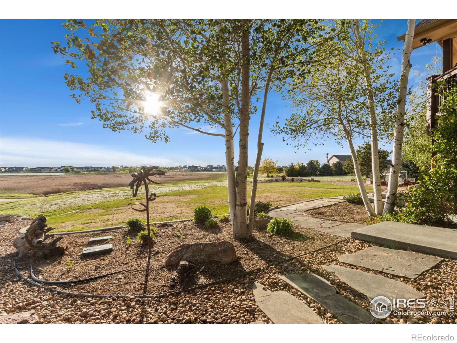 MLS Image #39 for 1213  baldridge drive,severance, Colorado