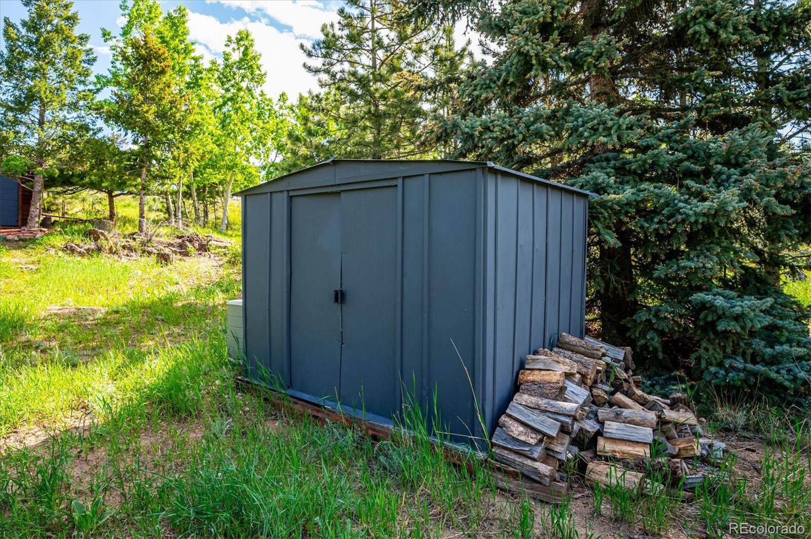 MLS Image #34 for 429  overlook drive,bailey, Colorado