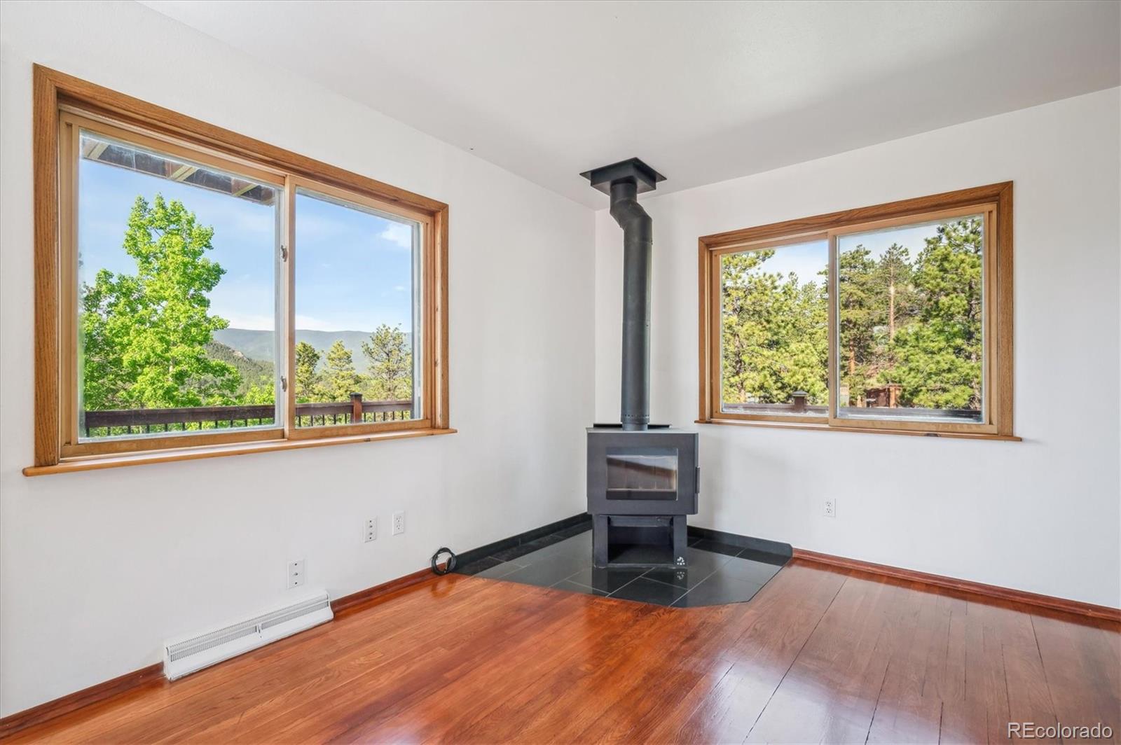 MLS Image #9 for 429  overlook drive,bailey, Colorado