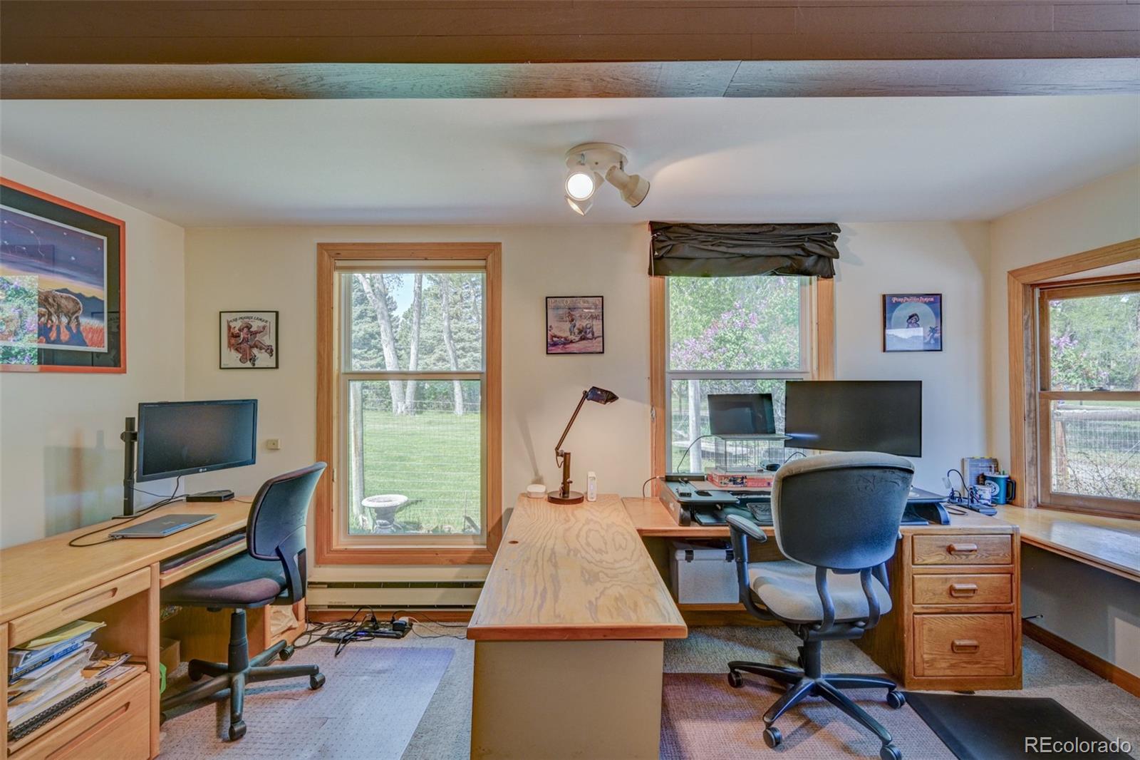 MLS Image #27 for 29250  county road 330 ,buena vista, Colorado
