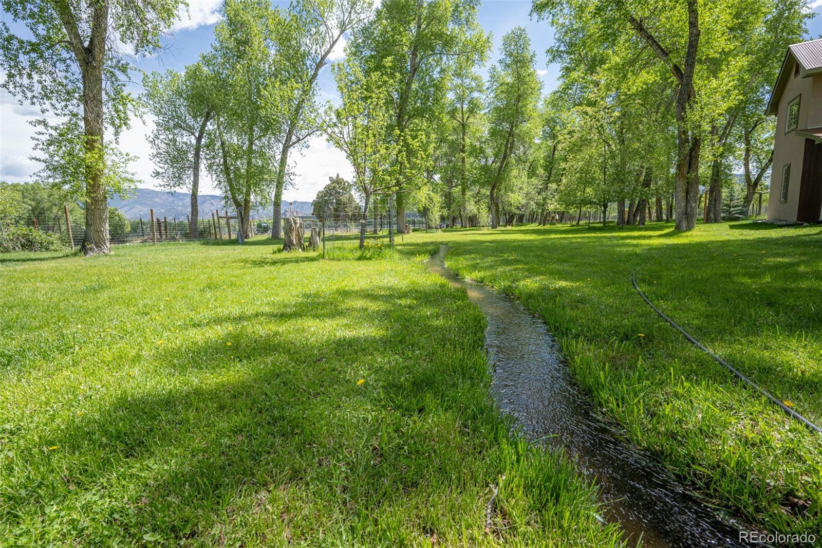 MLS Image #3 for 29250  county road 330 ,buena vista, Colorado