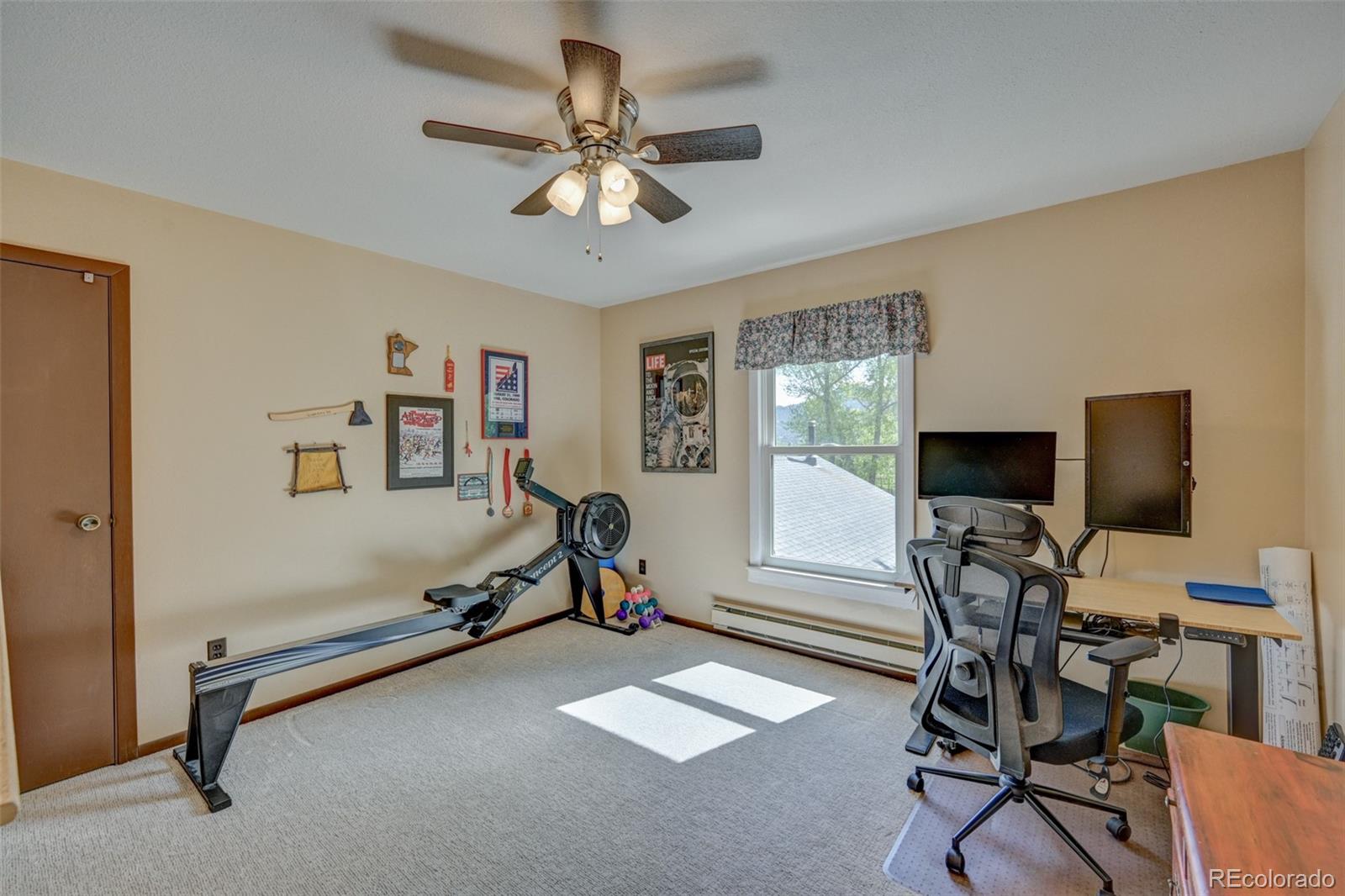MLS Image #38 for 29250  county road 330 ,buena vista, Colorado