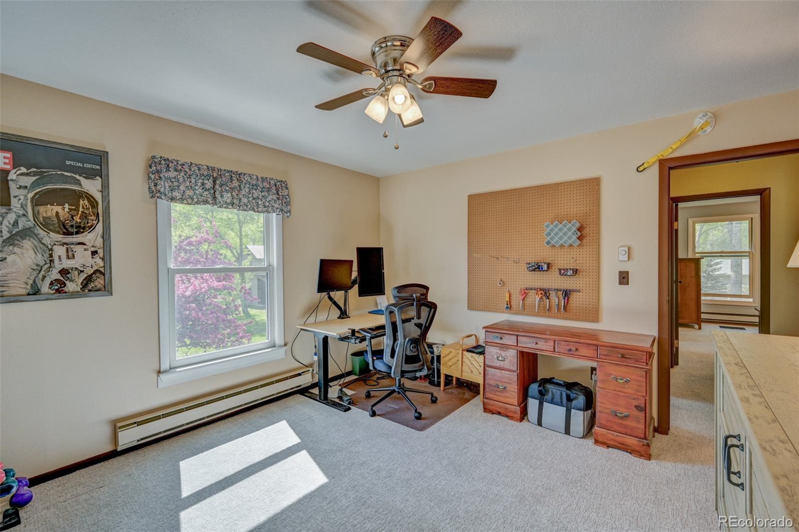 MLS Image #40 for 29250  county road 330 ,buena vista, Colorado