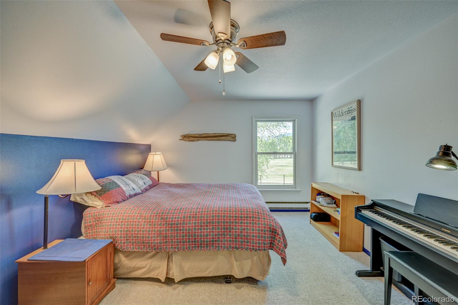 MLS Image #41 for 29250  county road 330 ,buena vista, Colorado