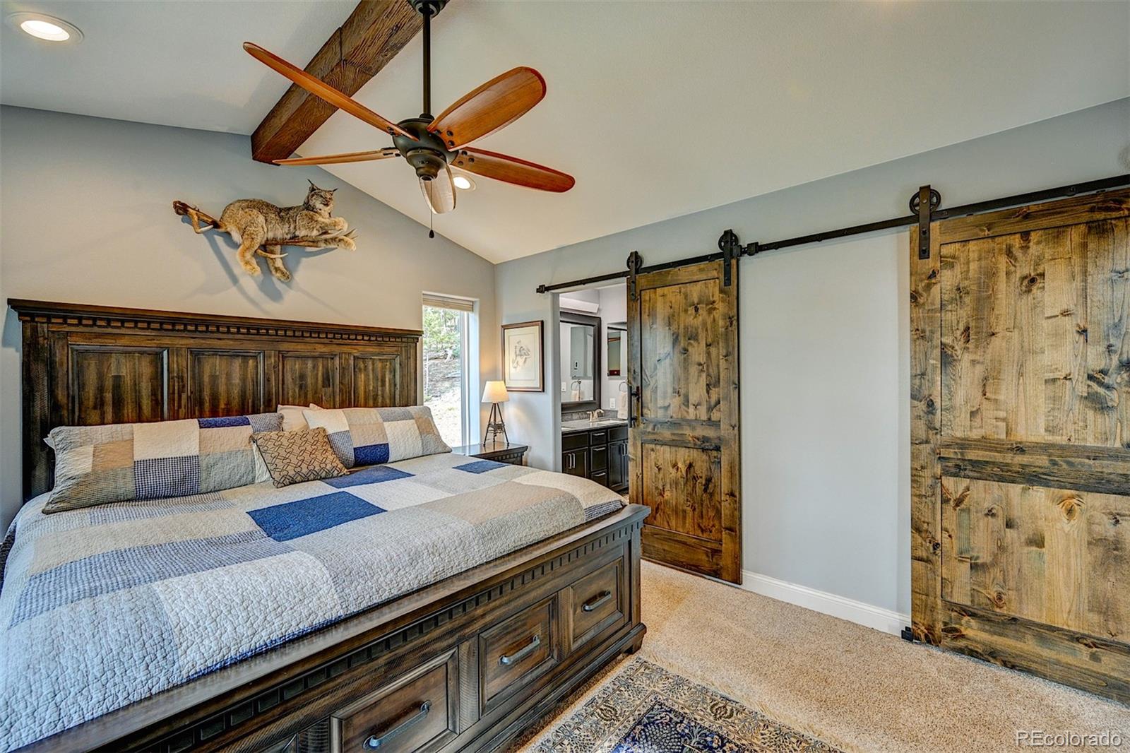 MLS Image #15 for 927  windmill drive,hartsel, Colorado