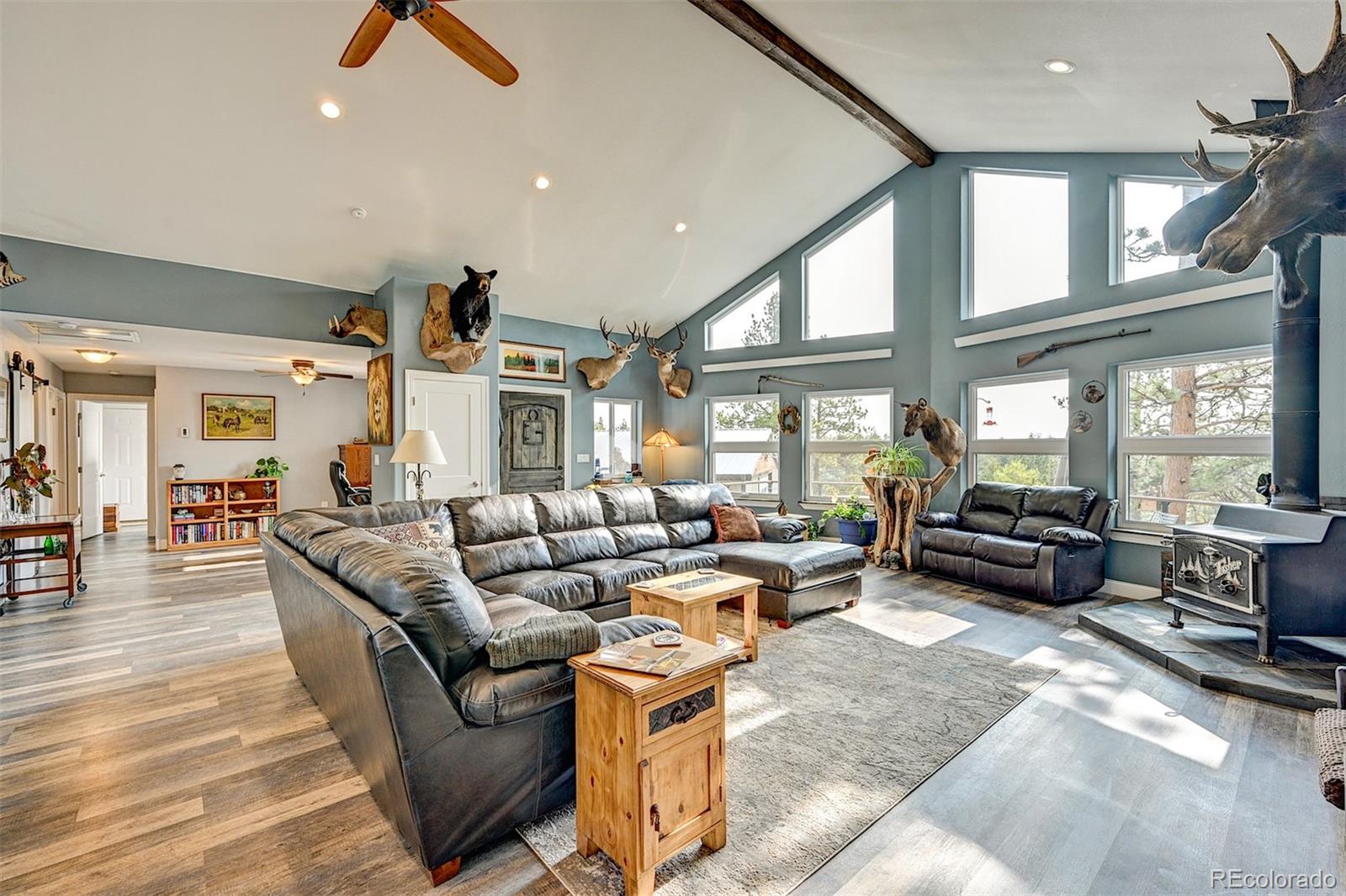 MLS Image #6 for 927  windmill drive,hartsel, Colorado
