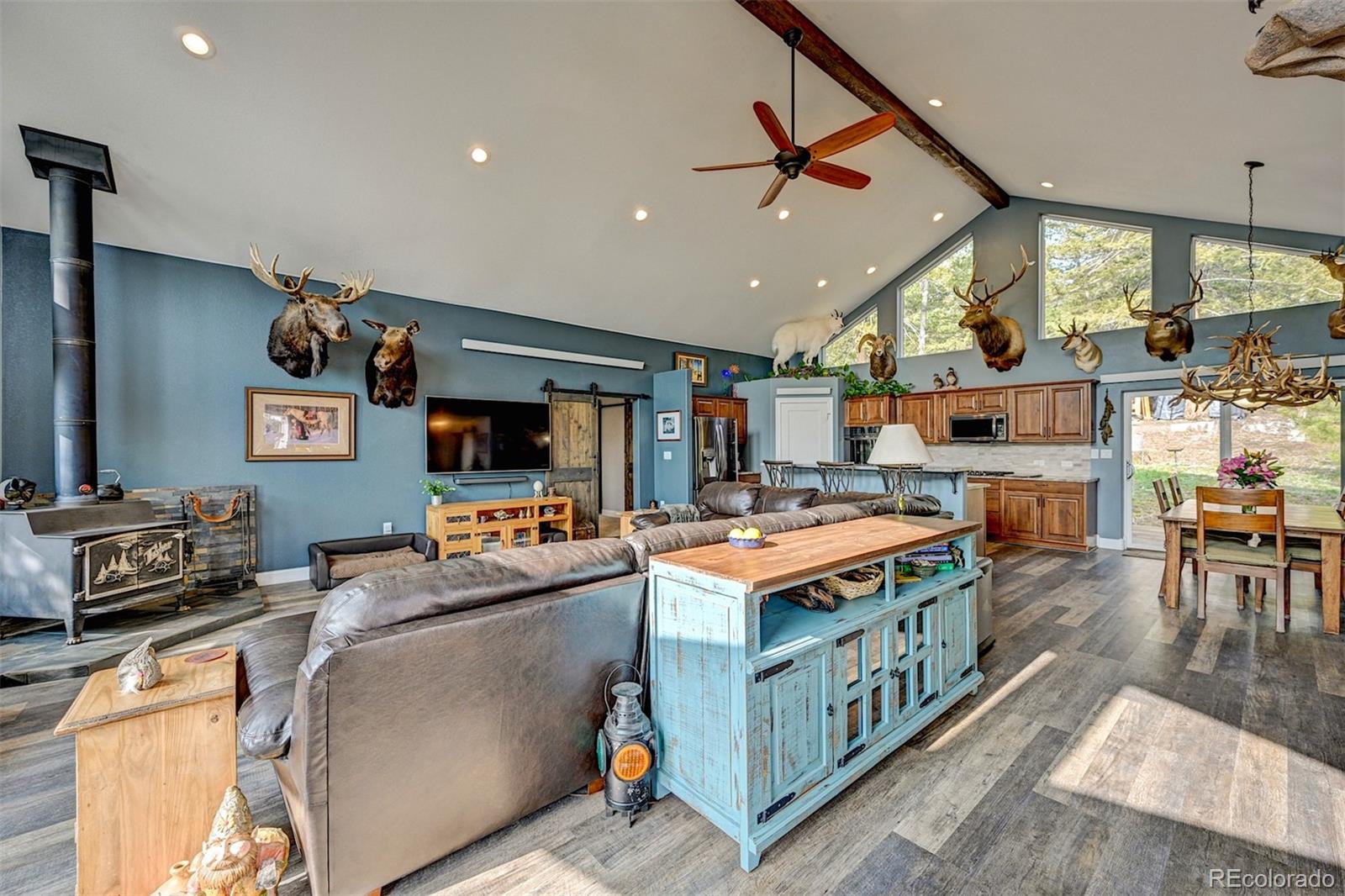 MLS Image #7 for 927  windmill drive,hartsel, Colorado