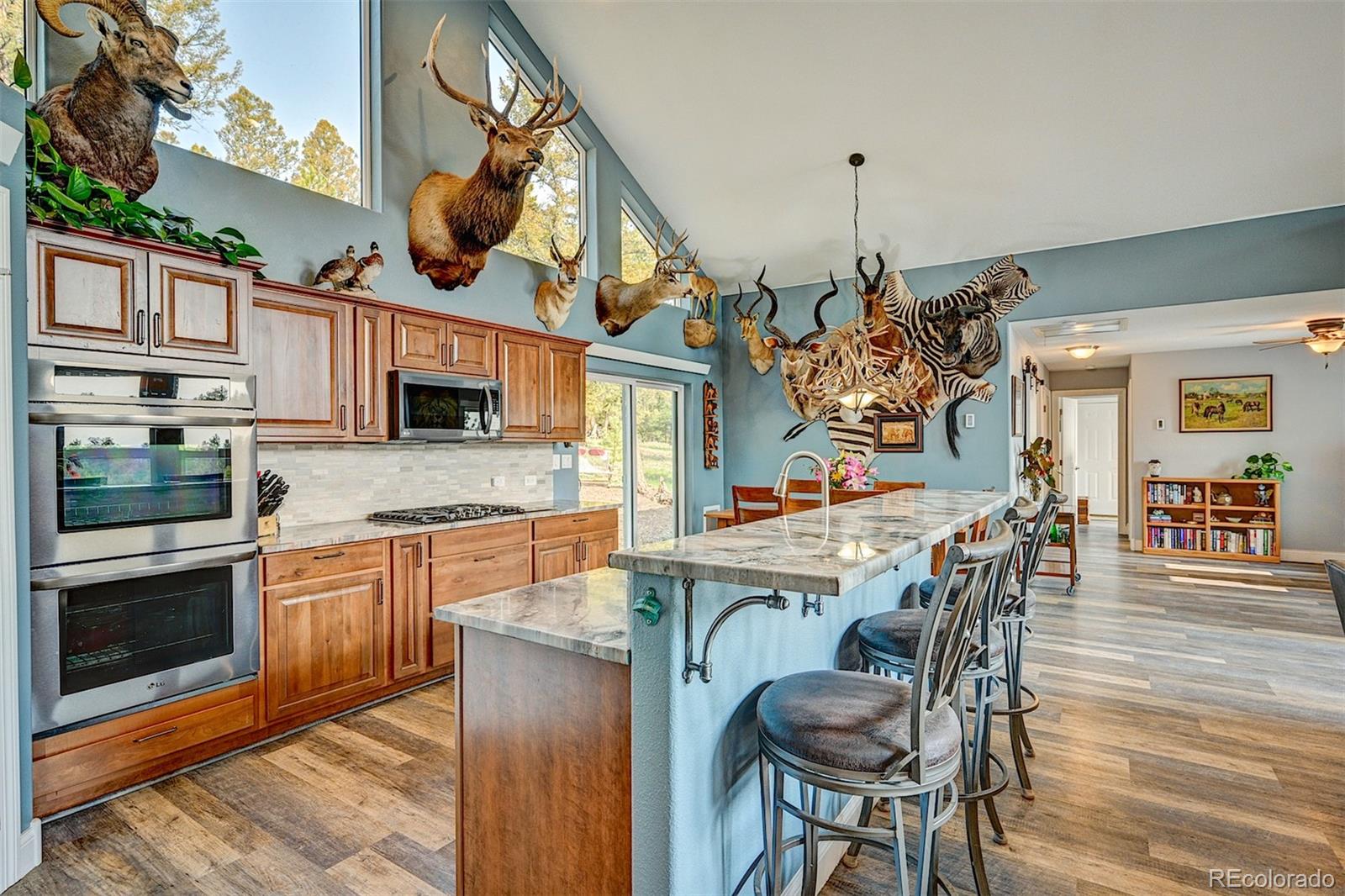MLS Image #8 for 927  windmill drive,hartsel, Colorado