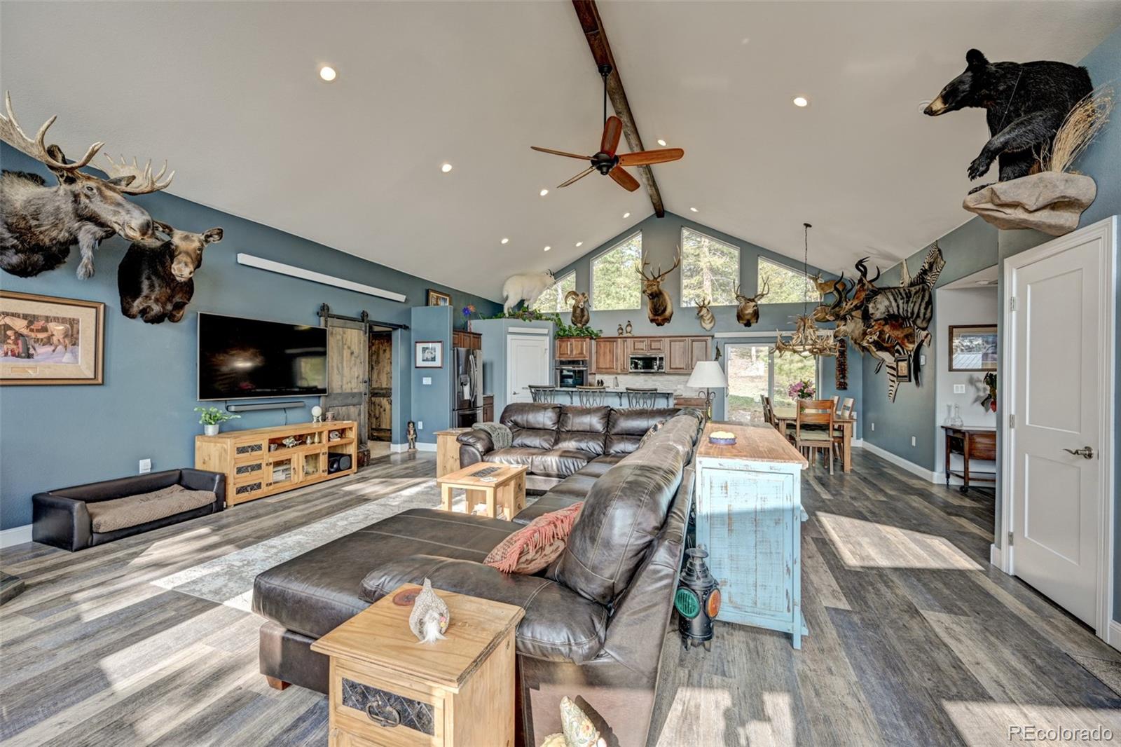 MLS Image #9 for 927  windmill drive,hartsel, Colorado