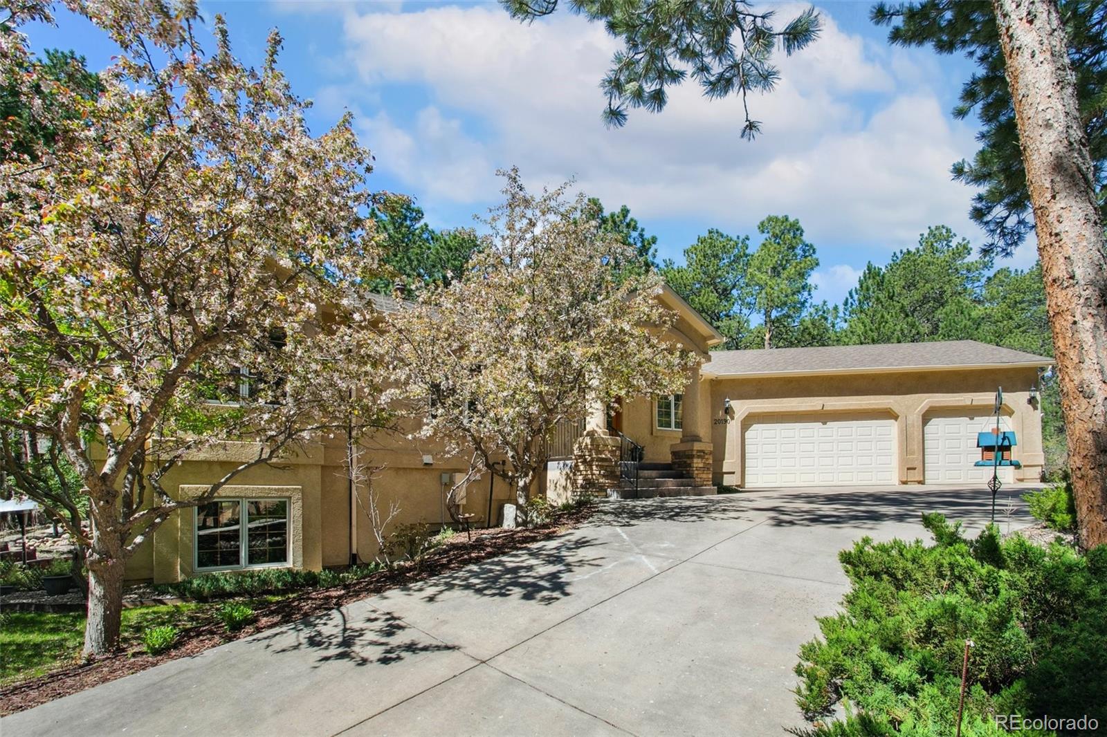 MLS Image #27 for 20190  deer shadow way,monument, Colorado