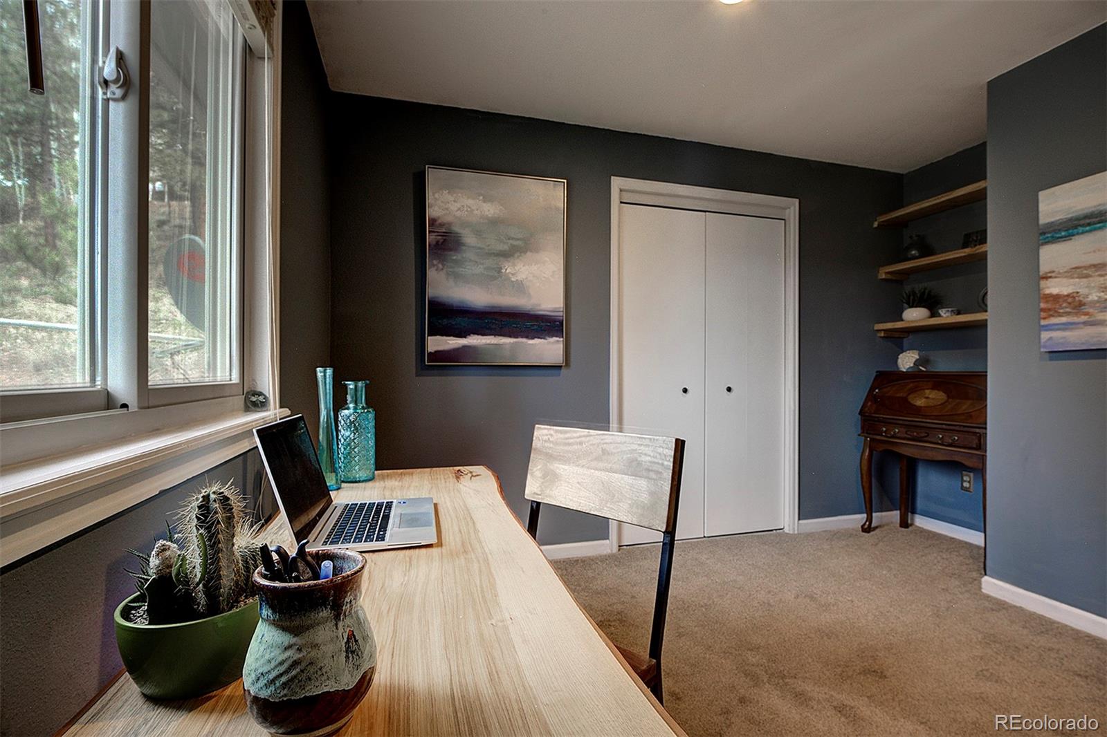 MLS Image #20 for 11669 s upper ranch drive,pine, Colorado