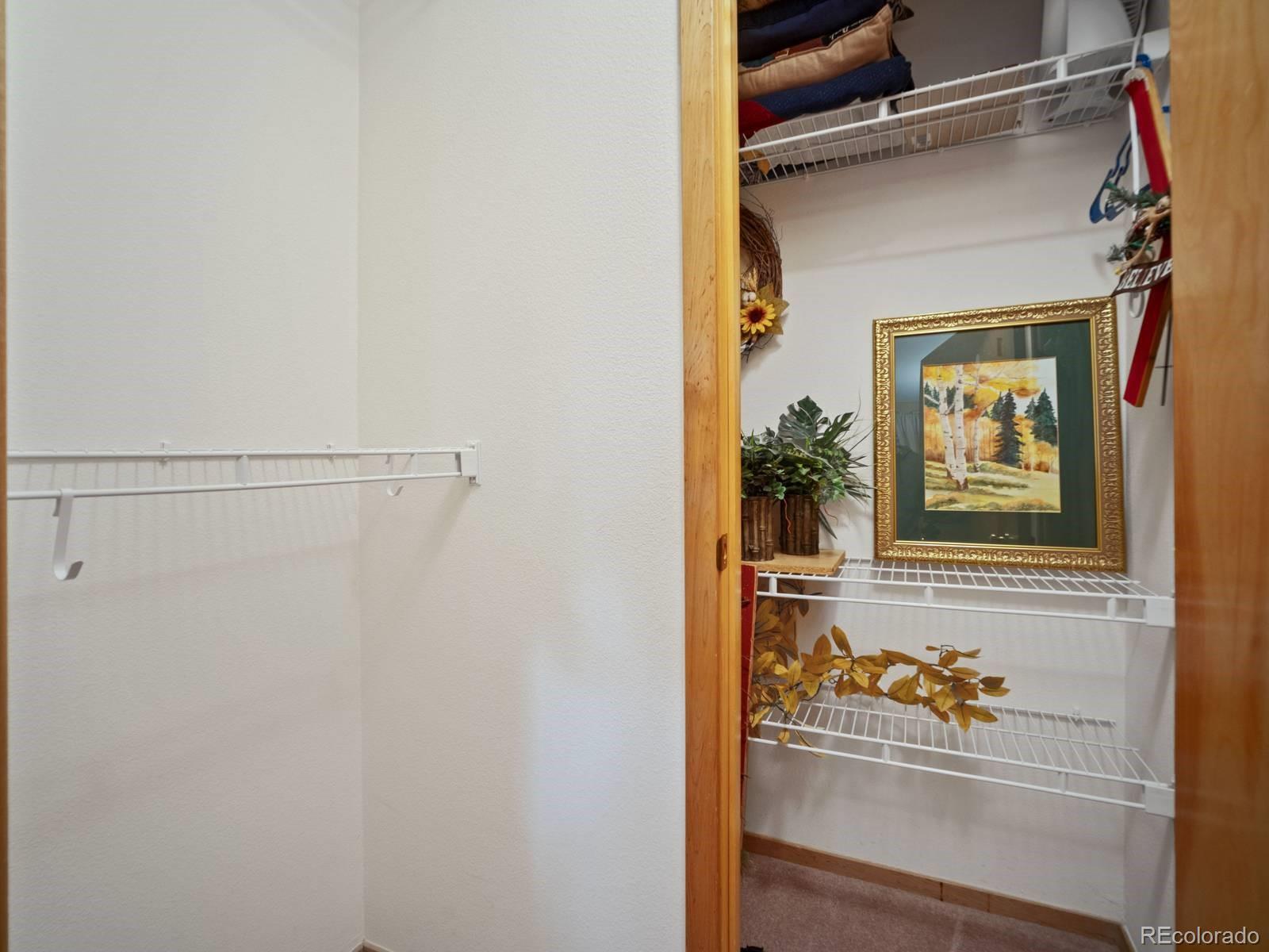 MLS Image #10 for 10000  ryan gulch road,silverthorne, Colorado