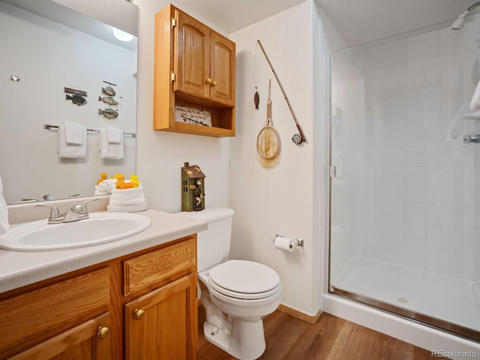 MLS Image #12 for 10000  ryan gulch road,silverthorne, Colorado