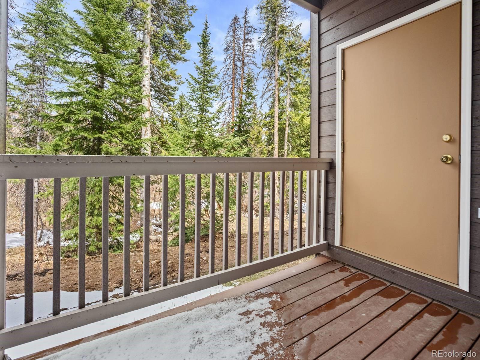 MLS Image #14 for 10000  ryan gulch road,silverthorne, Colorado