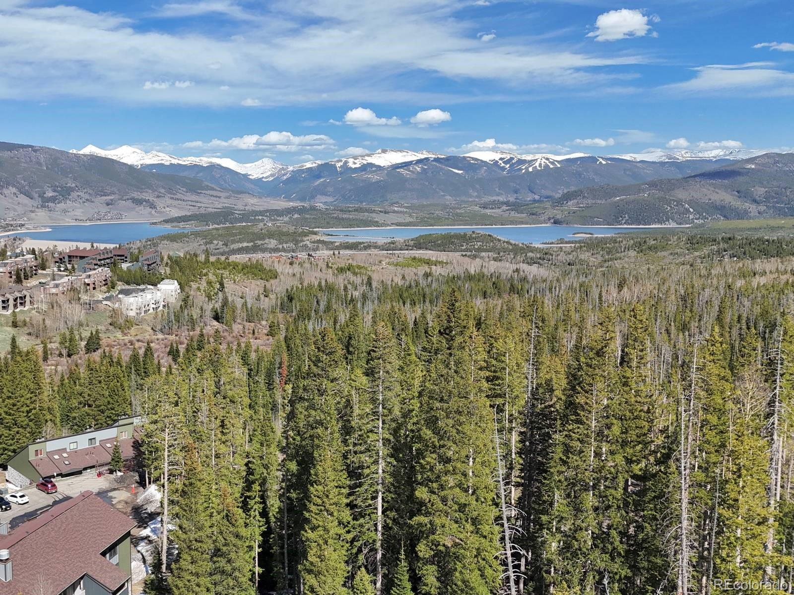MLS Image #22 for 10000  ryan gulch road,silverthorne, Colorado