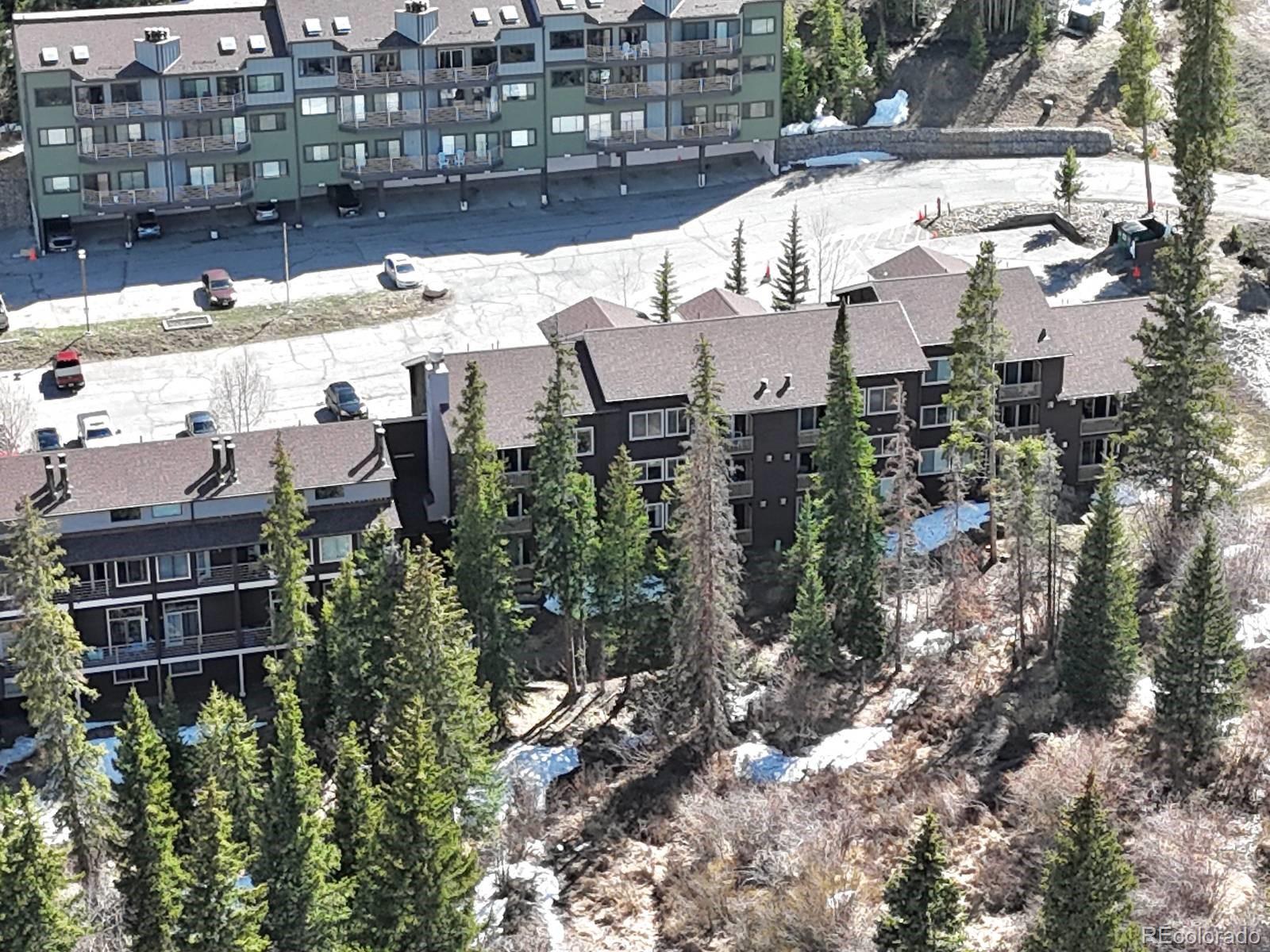 MLS Image #23 for 10000  ryan gulch road,silverthorne, Colorado