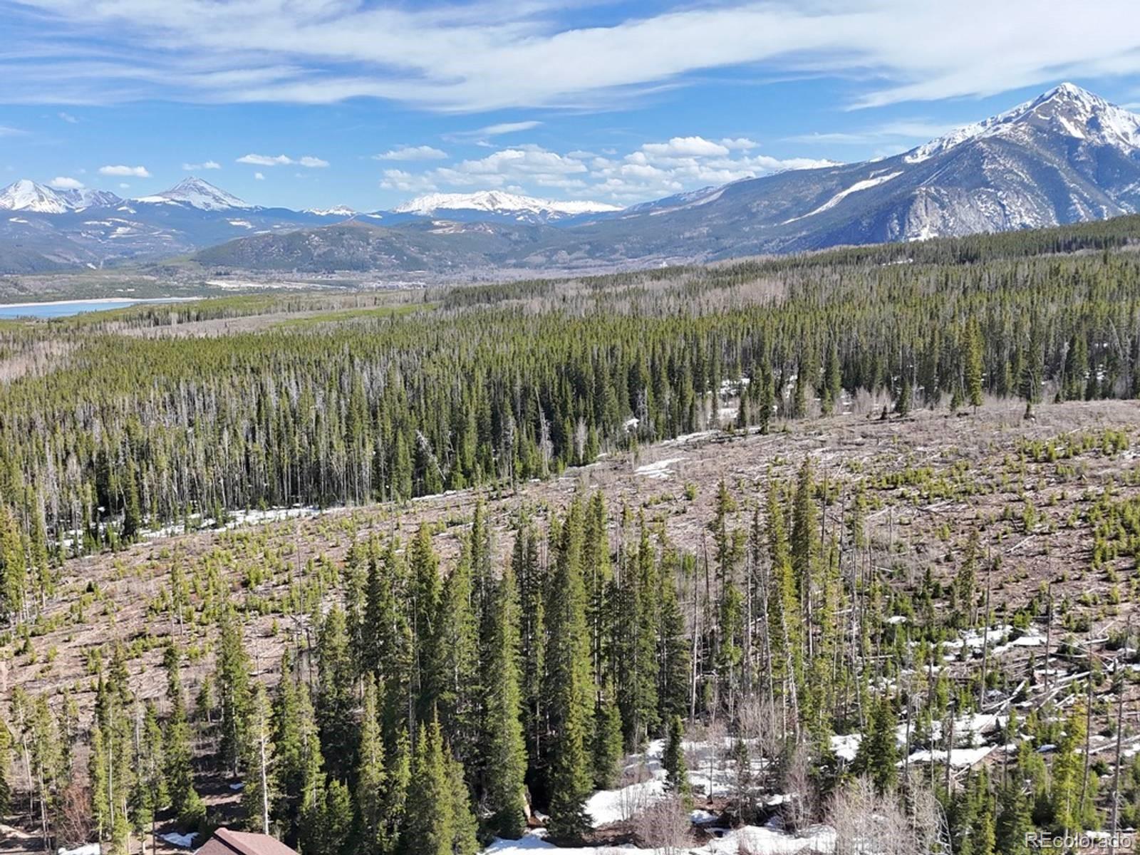 MLS Image #24 for 10000  ryan gulch road,silverthorne, Colorado
