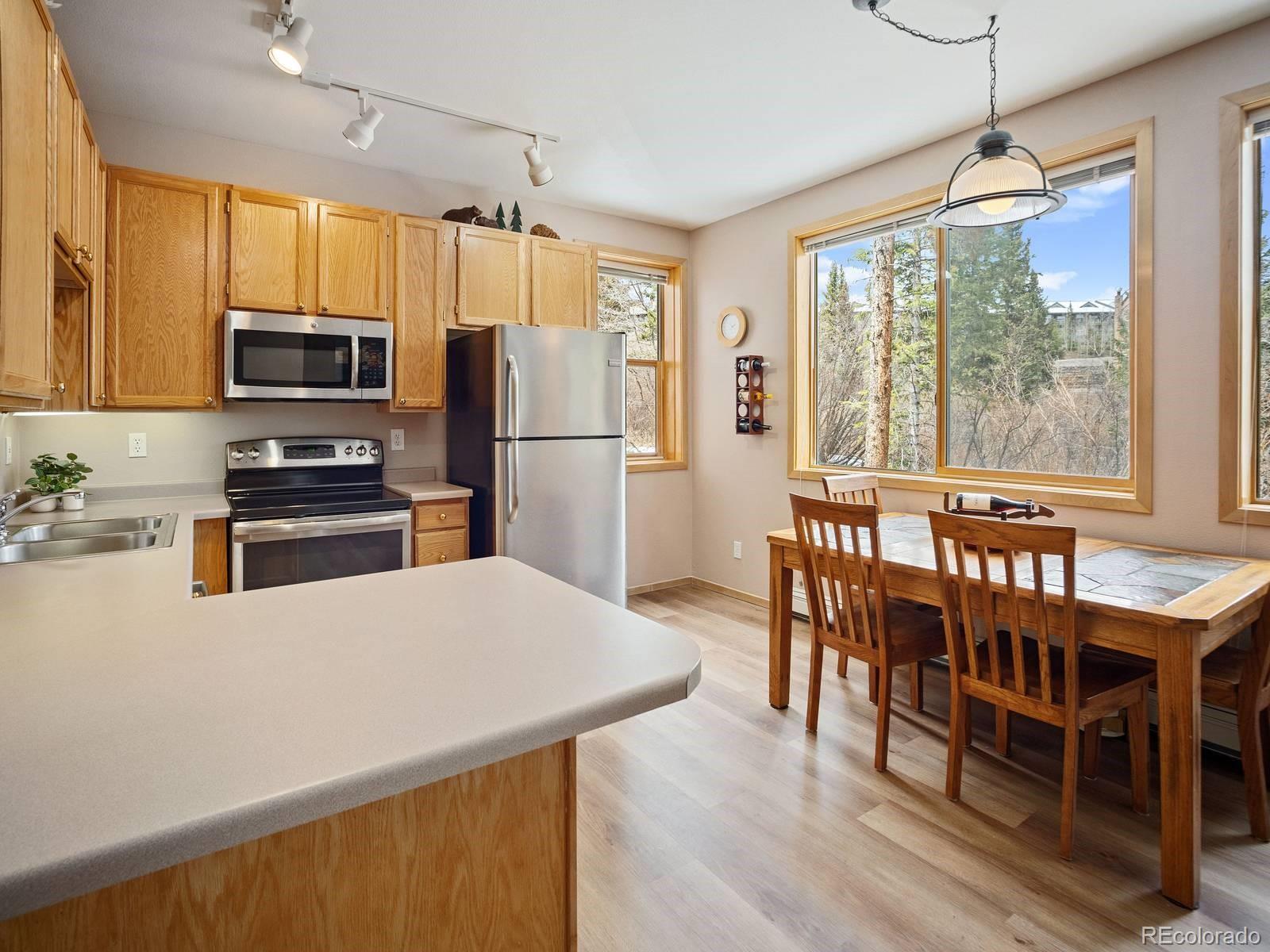 MLS Image #4 for 10000  ryan gulch road,silverthorne, Colorado