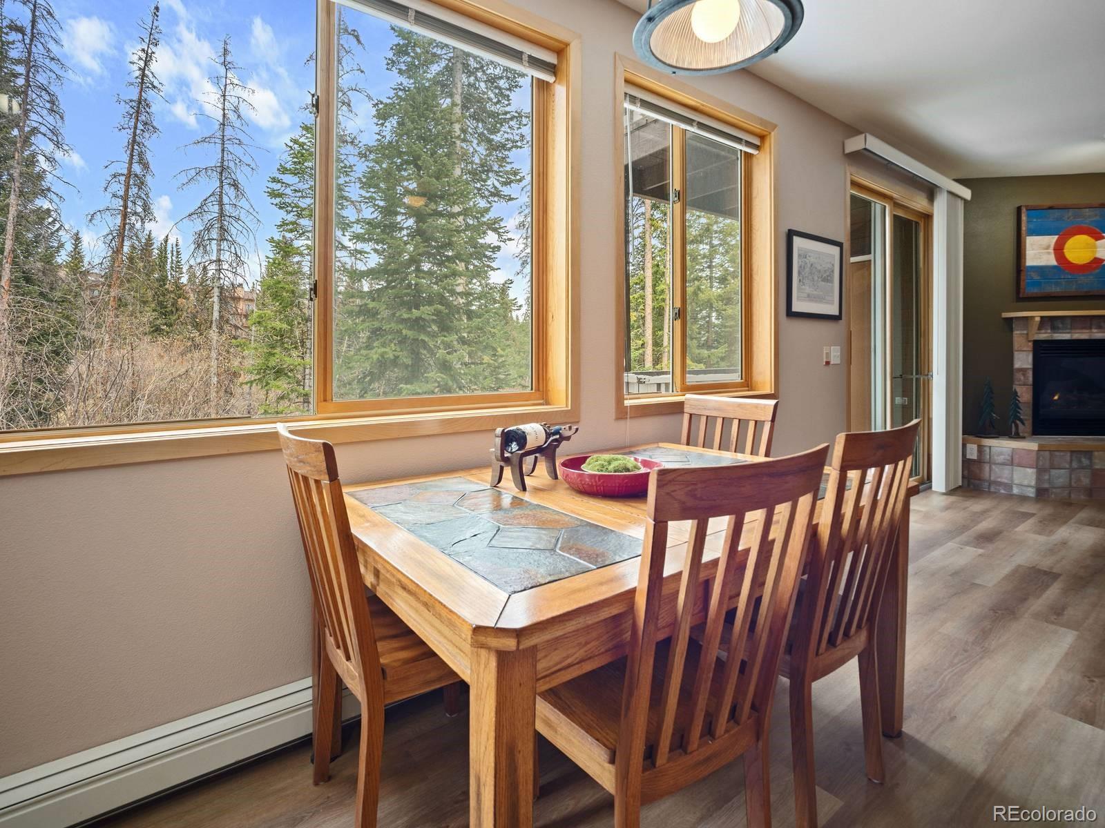 MLS Image #6 for 10000  ryan gulch road,silverthorne, Colorado