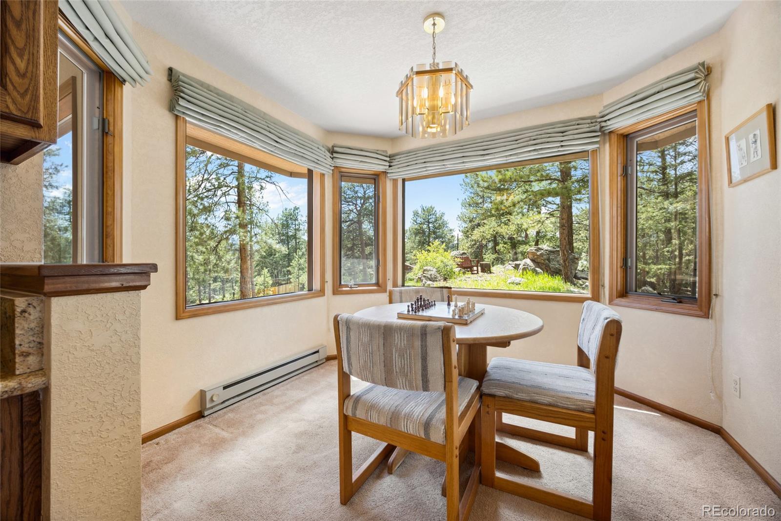 MLS Image #11 for 4992  white house trail,evergreen, Colorado