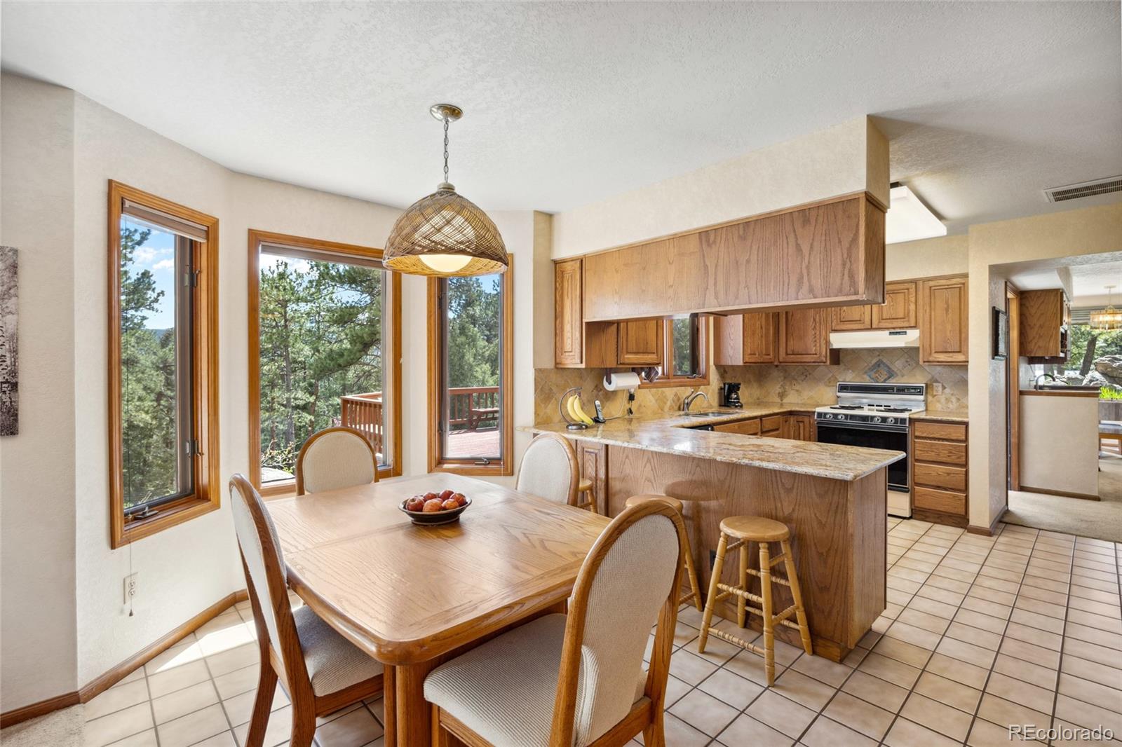 MLS Image #16 for 4992  white house trail,evergreen, Colorado