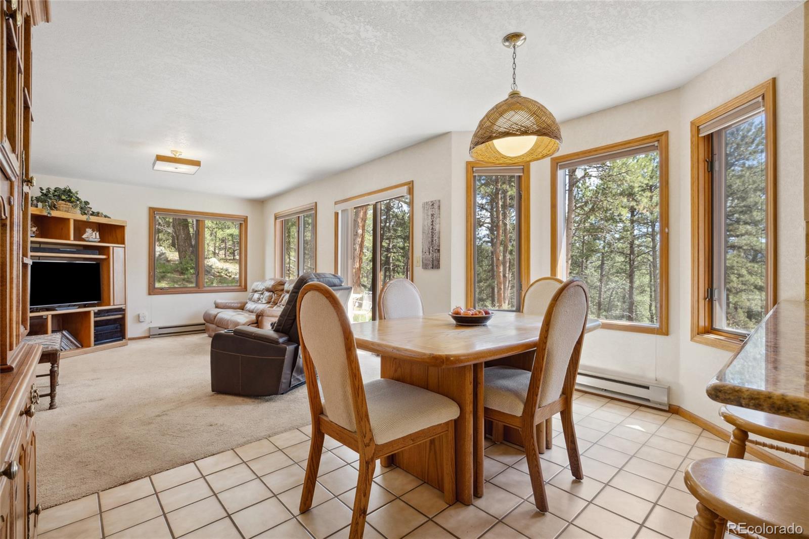 MLS Image #17 for 4992  white house trail,evergreen, Colorado