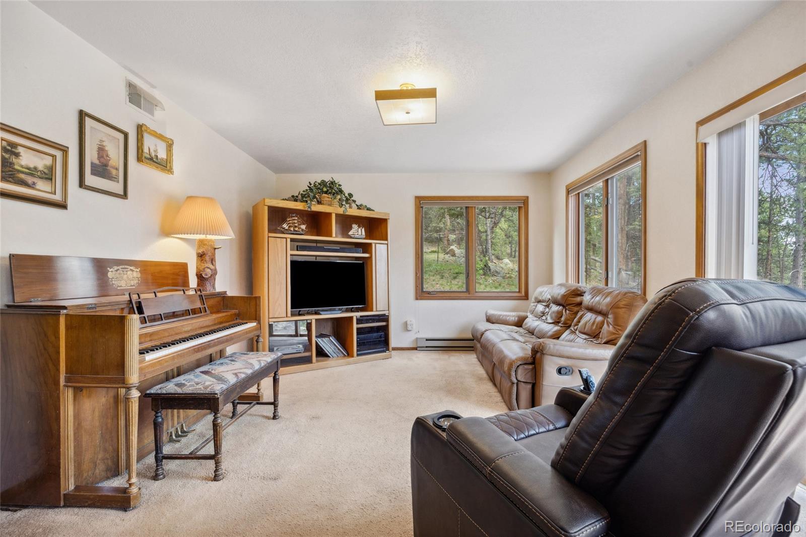 MLS Image #18 for 4992  white house trail,evergreen, Colorado