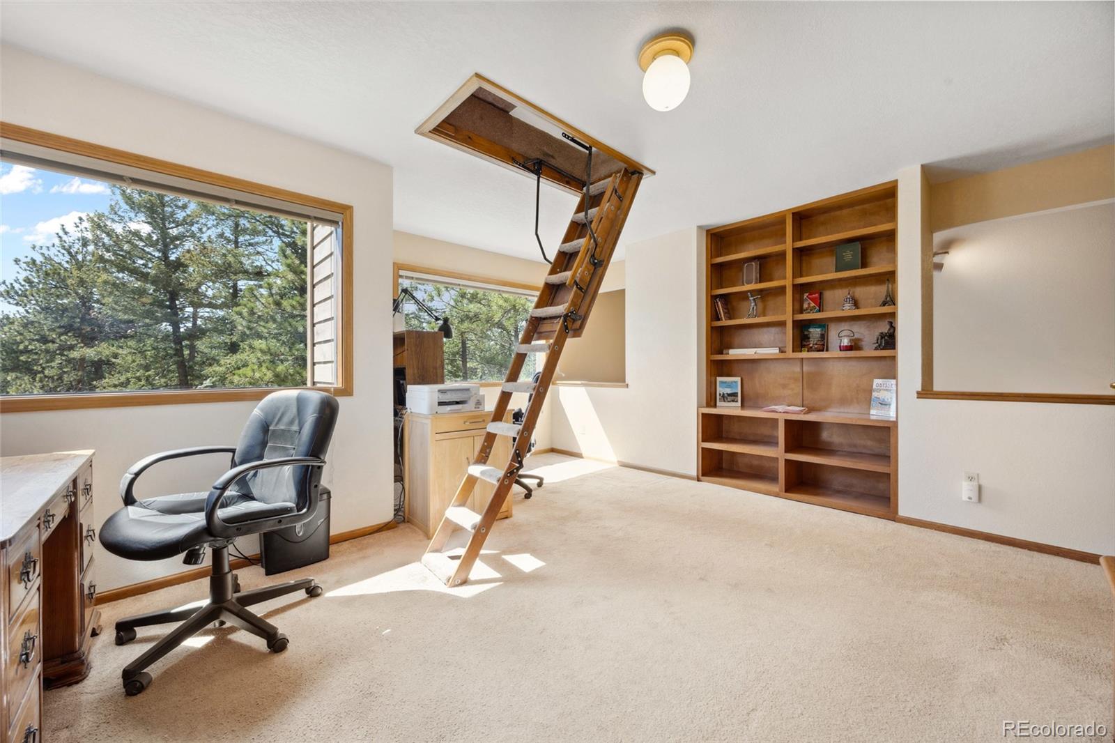 MLS Image #22 for 4992  white house trail,evergreen, Colorado