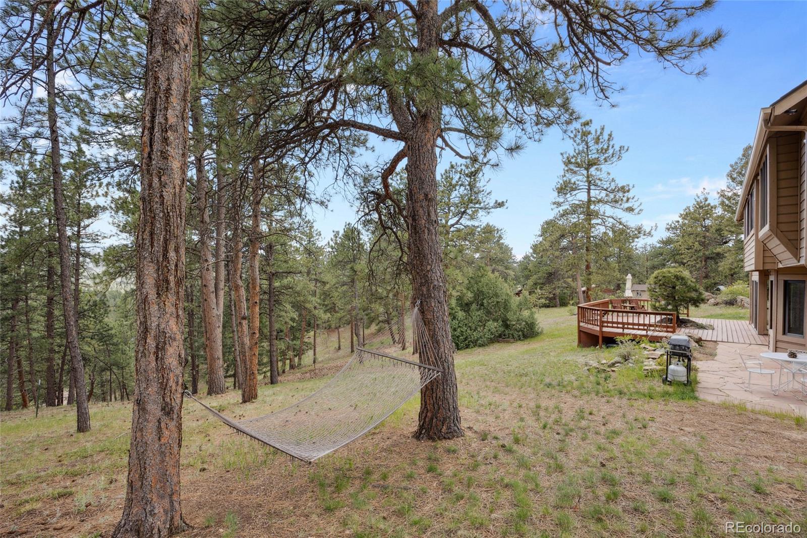 MLS Image #3 for 4992  white house trail,evergreen, Colorado