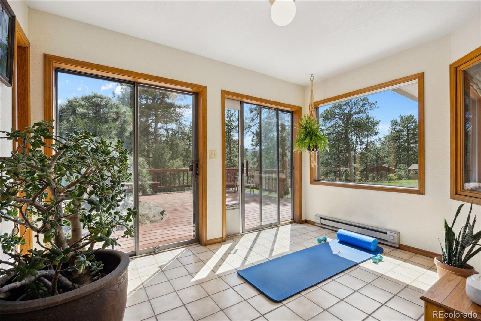 MLS Image #6 for 4992  white house trail,evergreen, Colorado