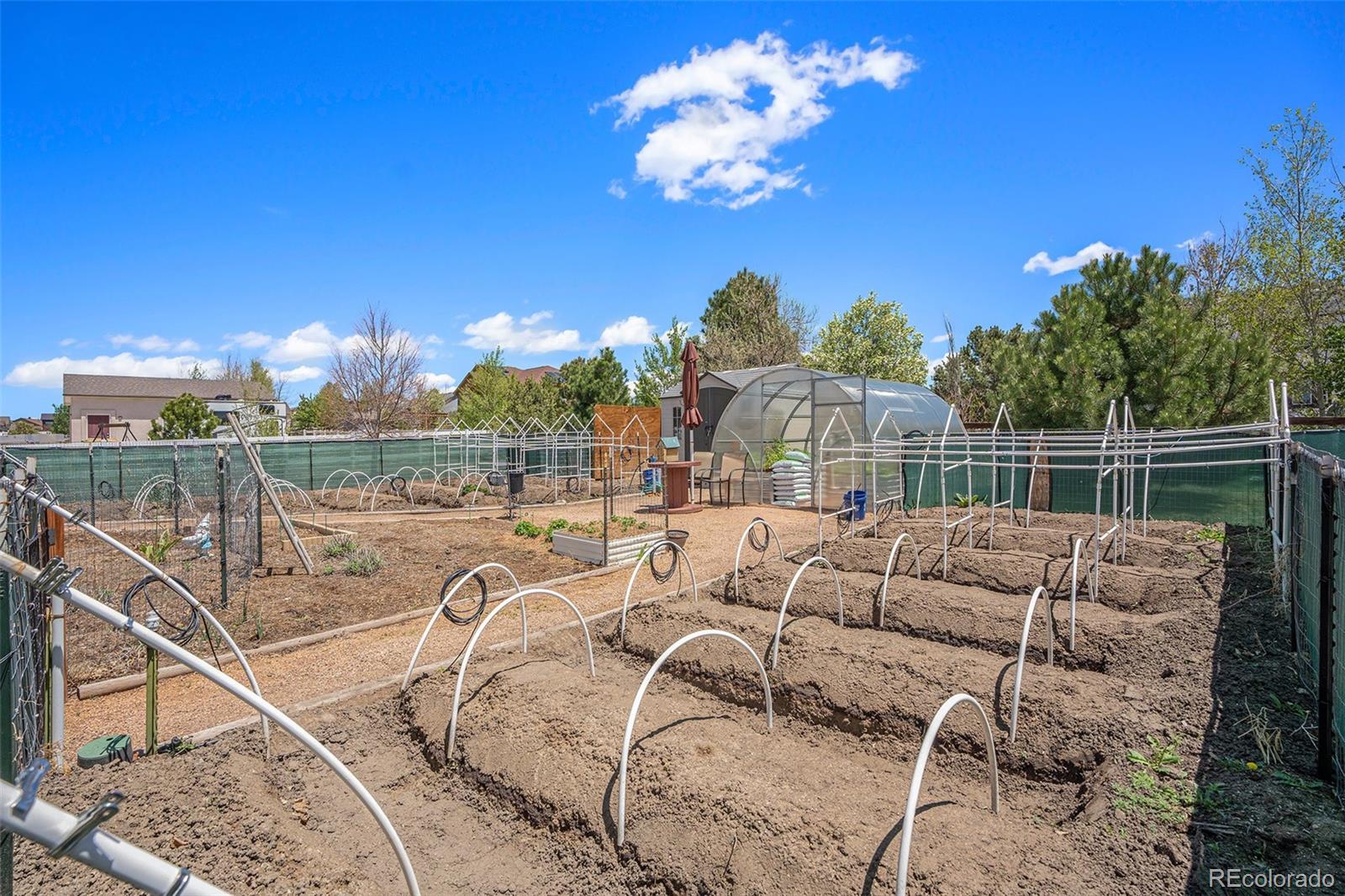 MLS Image #37 for 9709  rockingham drive,peyton, Colorado