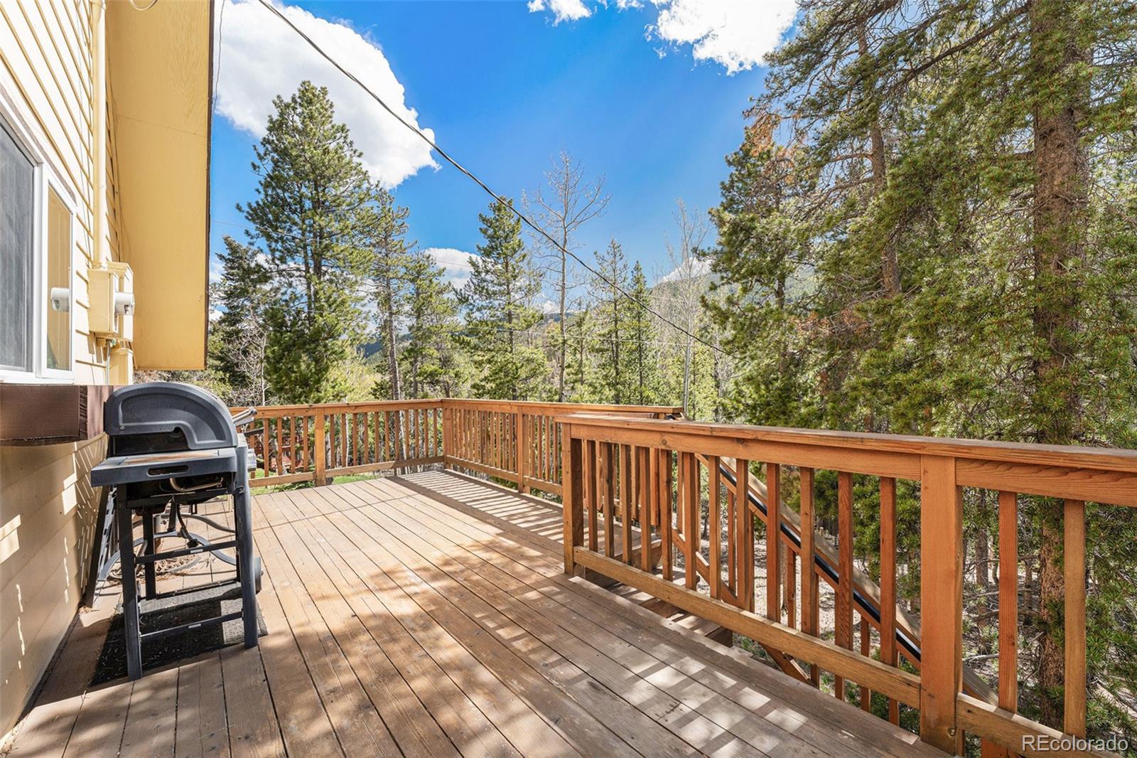 MLS Image #15 for 9185  jill drive,conifer, Colorado