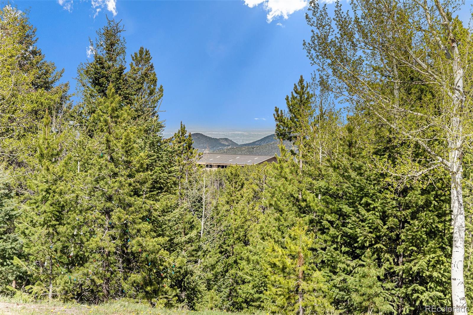 MLS Image #16 for 9185  jill drive,conifer, Colorado