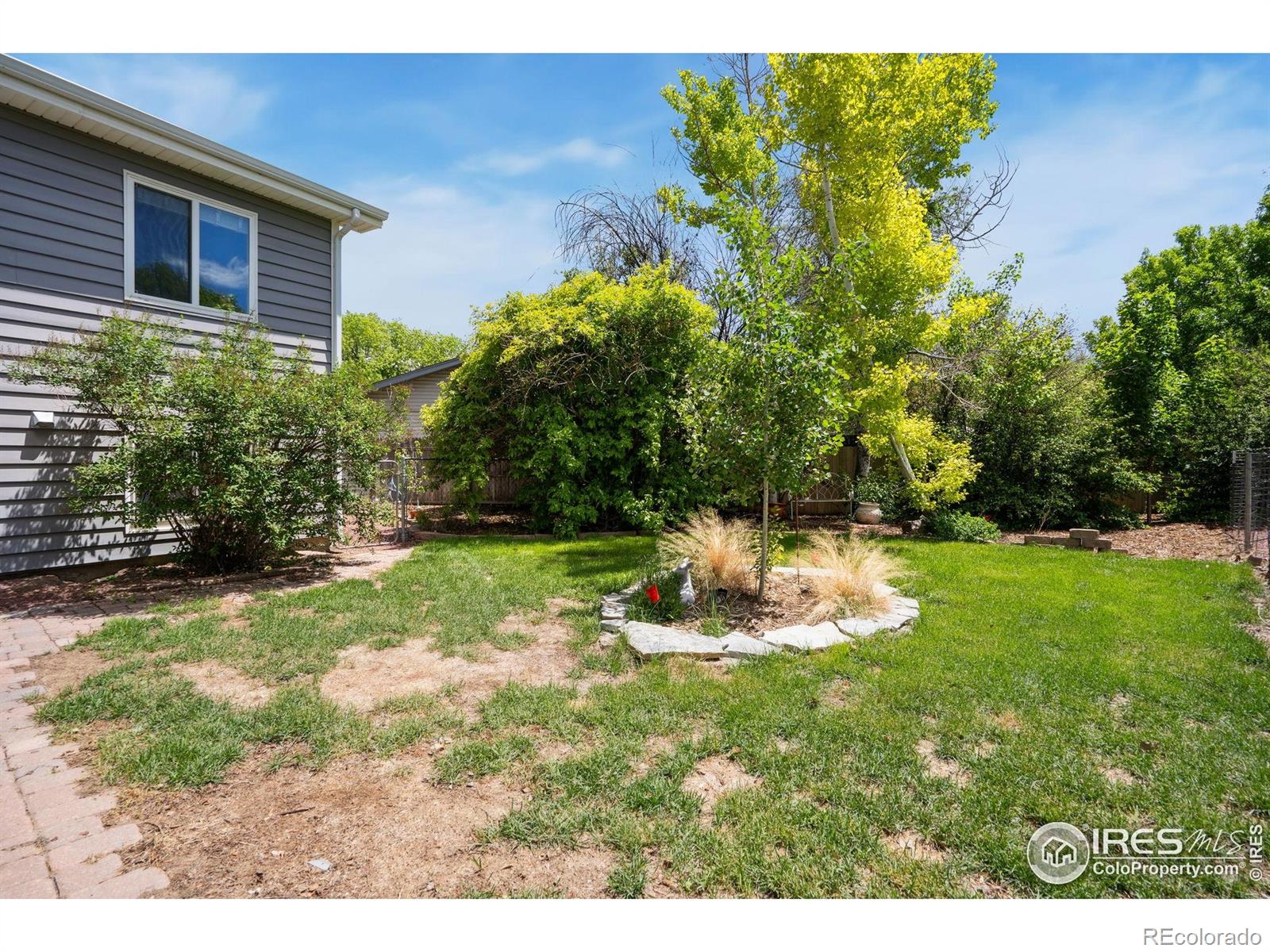 MLS Image #36 for 518  whitmore court,johnstown, Colorado
