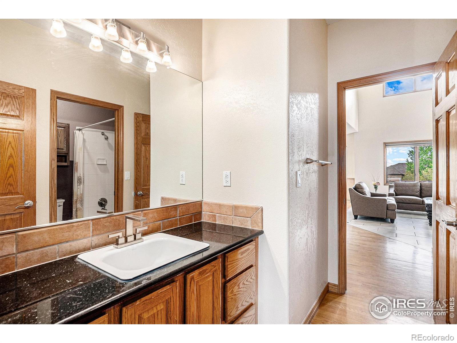 MLS Image #16 for 13971  telluride drive,broomfield, Colorado