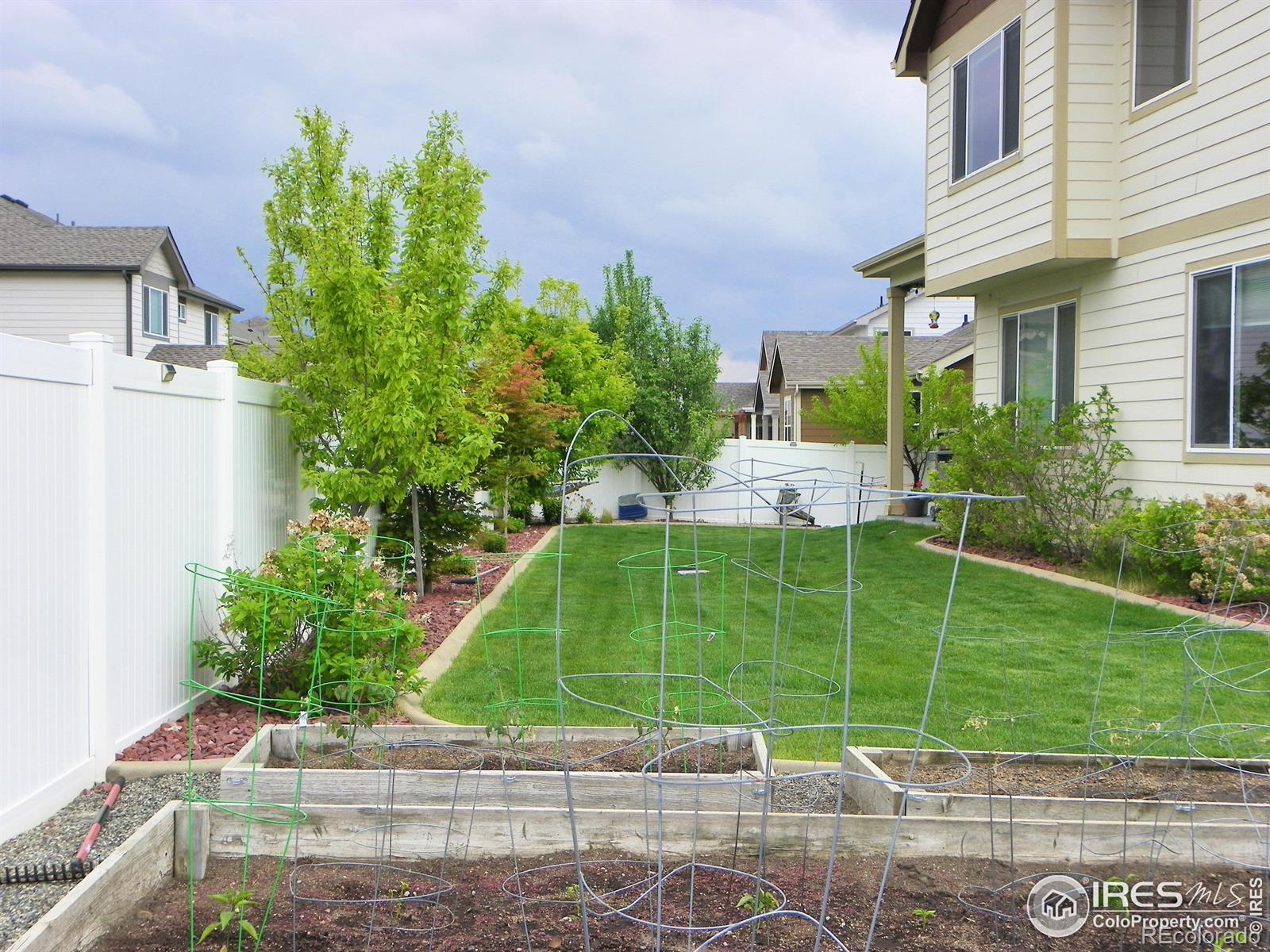 MLS Image #7 for 368  mt bross avenue,severance, Colorado