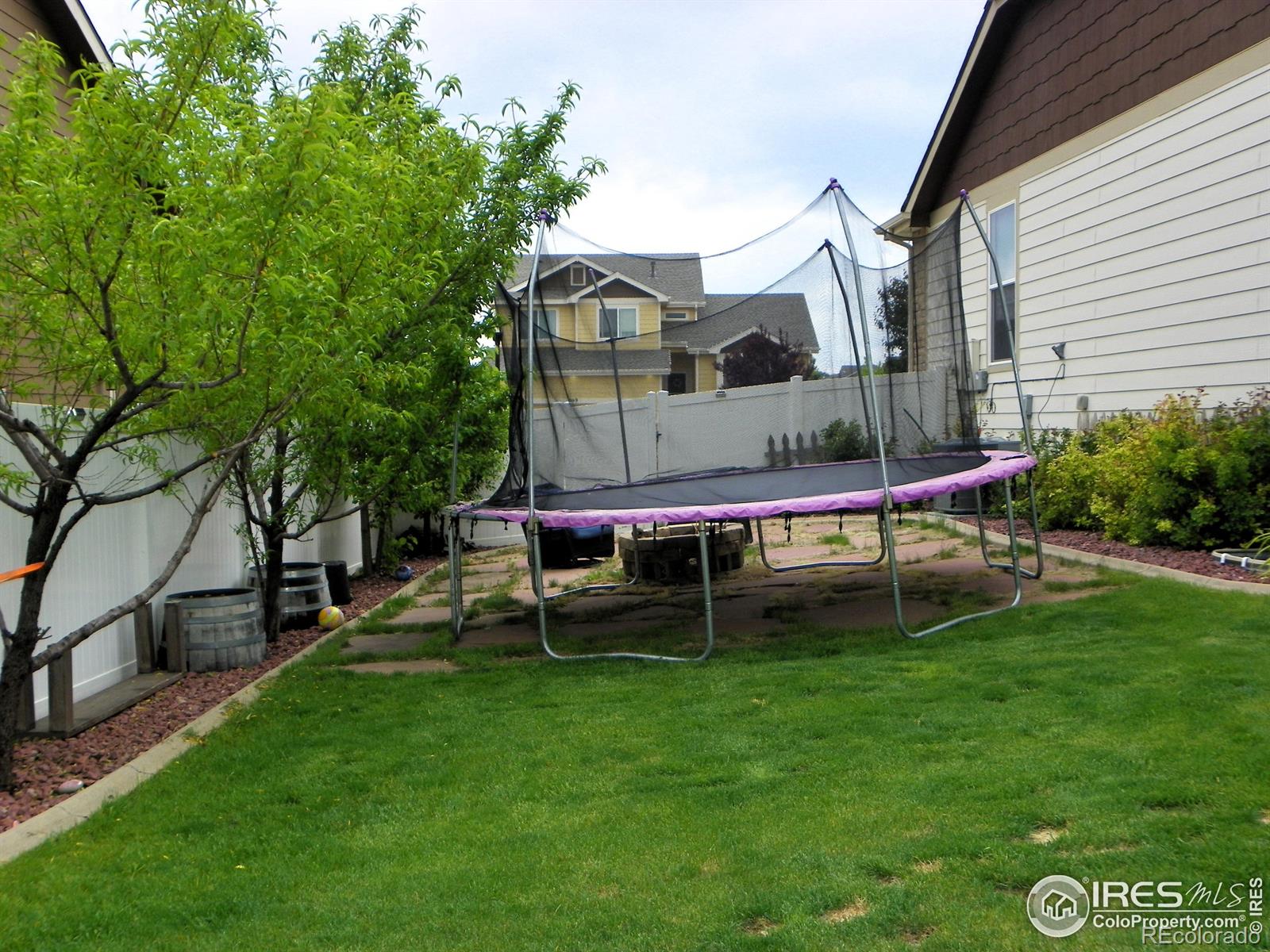 MLS Image #9 for 368  mt bross avenue,severance, Colorado