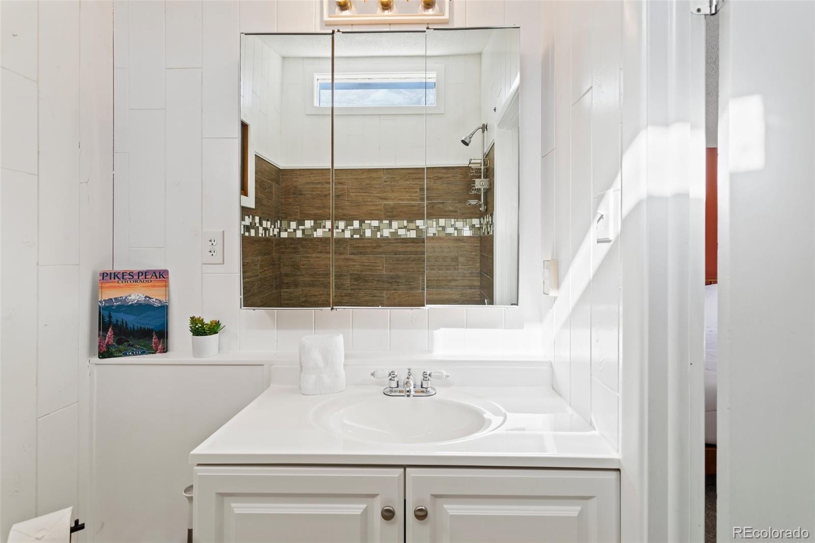 MLS Image #22 for 470  bear creek road,colorado springs, Colorado