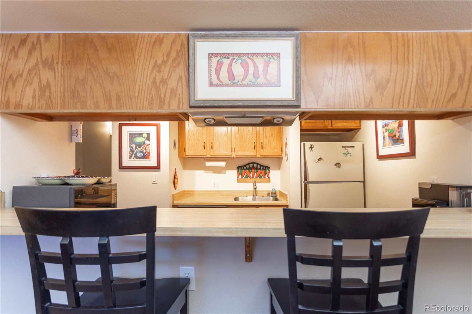 MLS Image #16 for 570  bills ranch road,frisco, Colorado