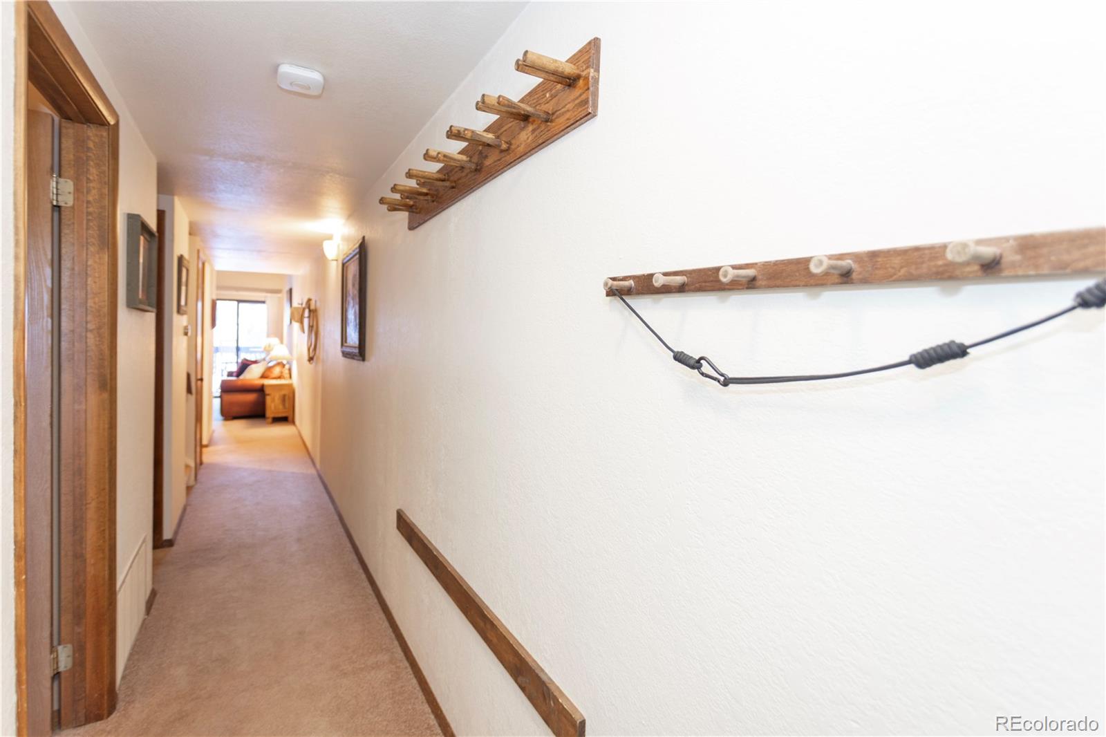 MLS Image #20 for 570  bills ranch road,frisco, Colorado