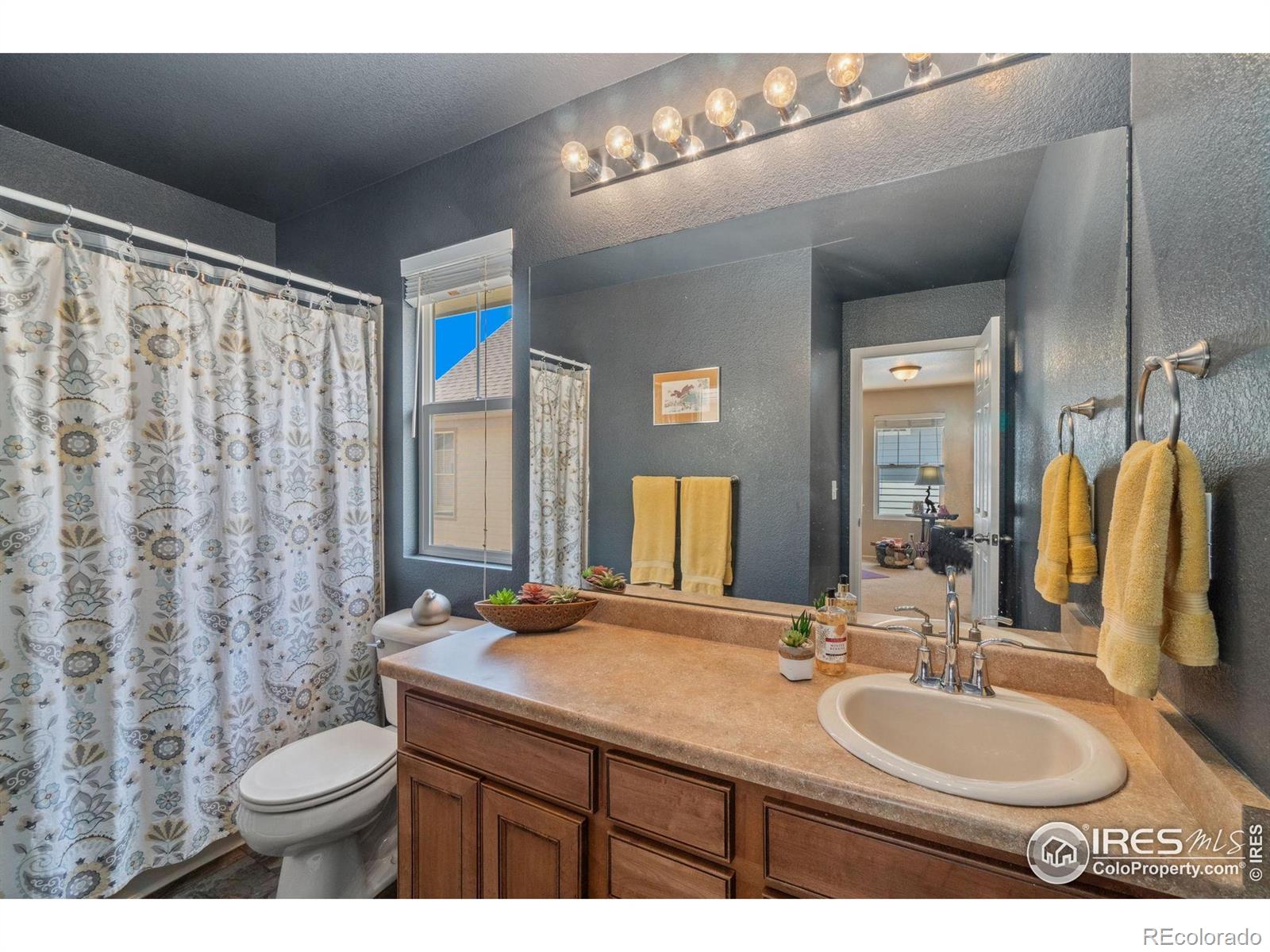 MLS Image #26 for 2320  clipper way,fort collins, Colorado