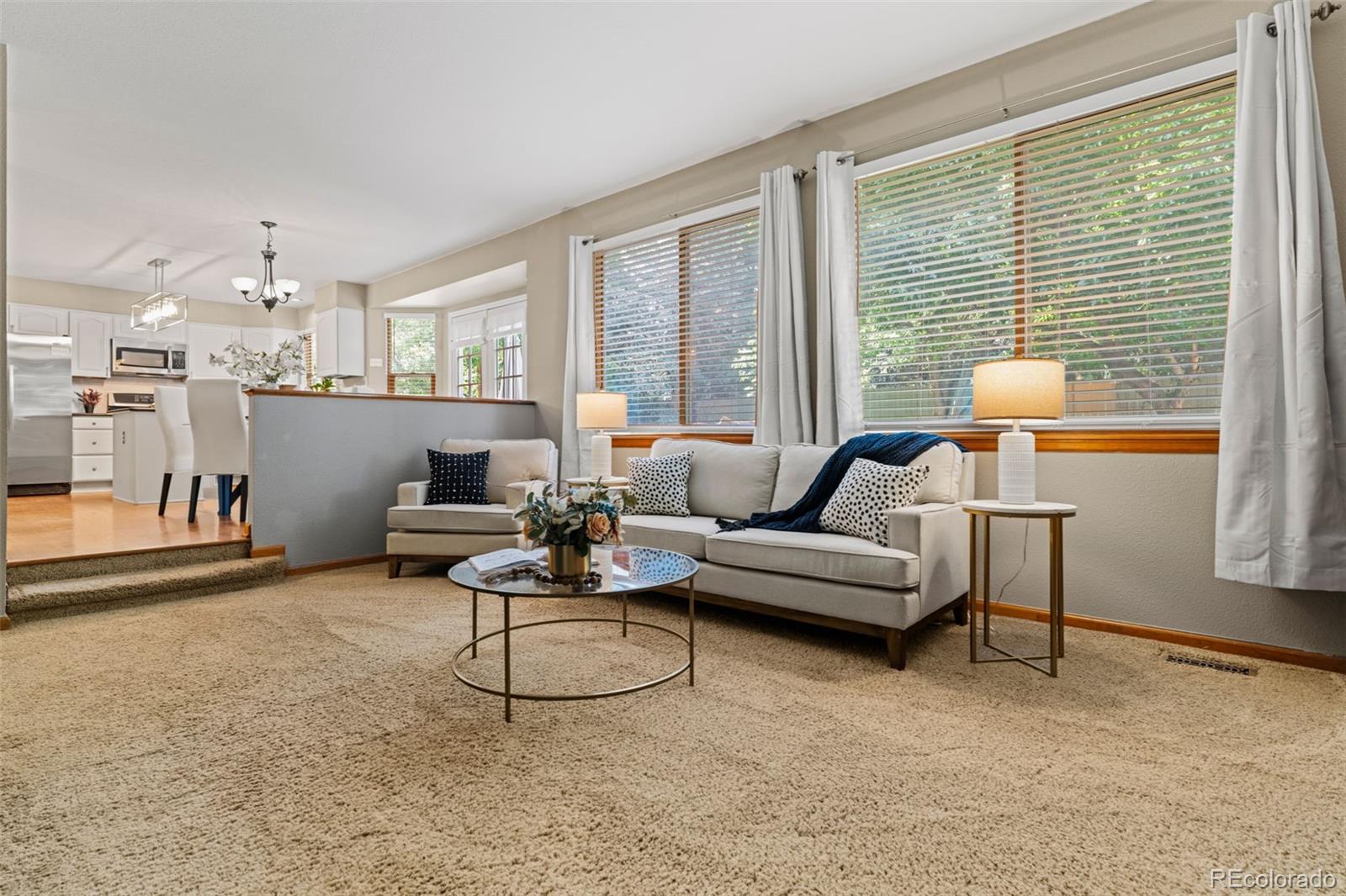 MLS Image #18 for 20922 e crestline circle,centennial, Colorado
